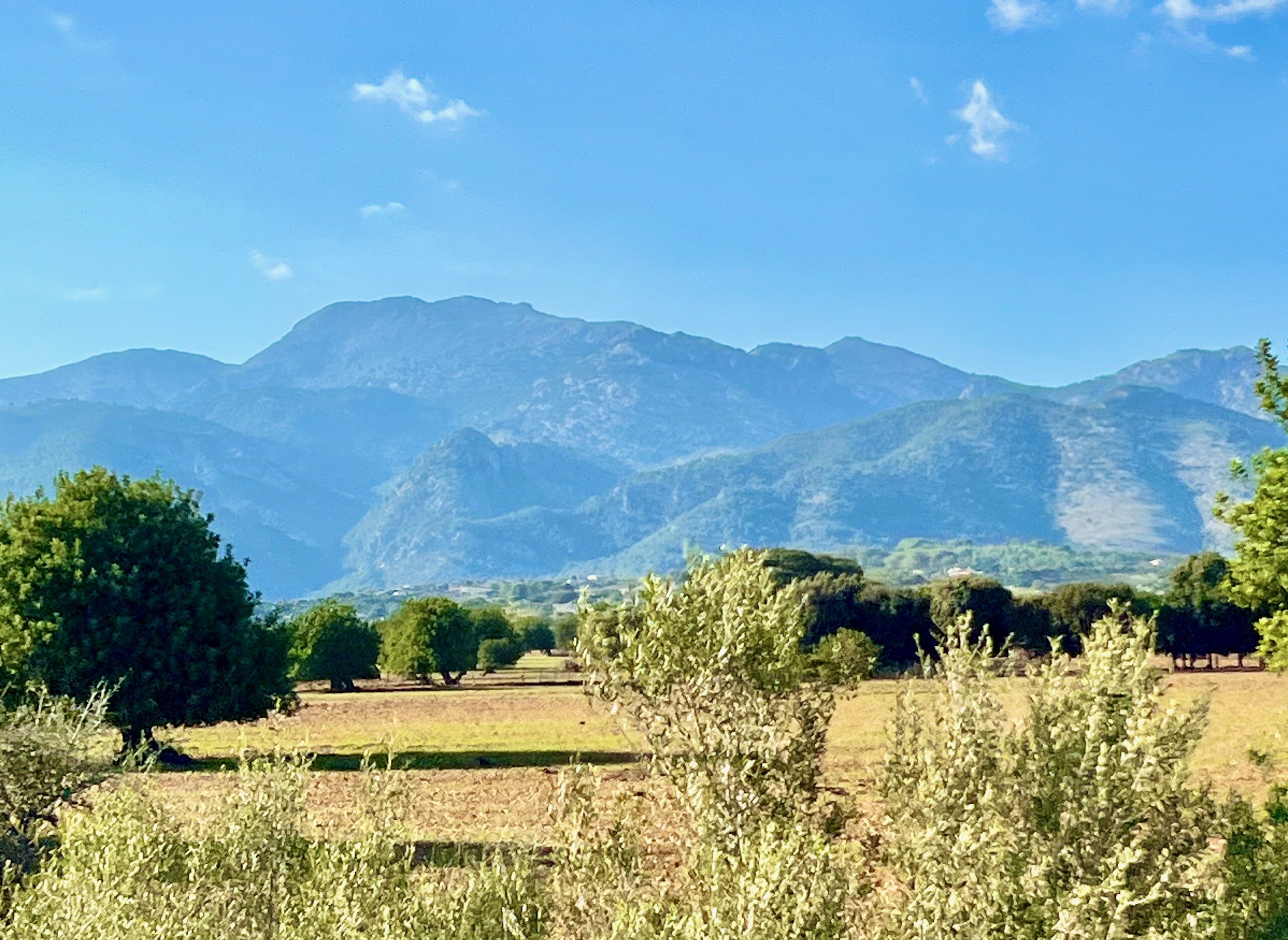 5 Minuten Mallorca | Nachrichten am 7. Oktober 2025