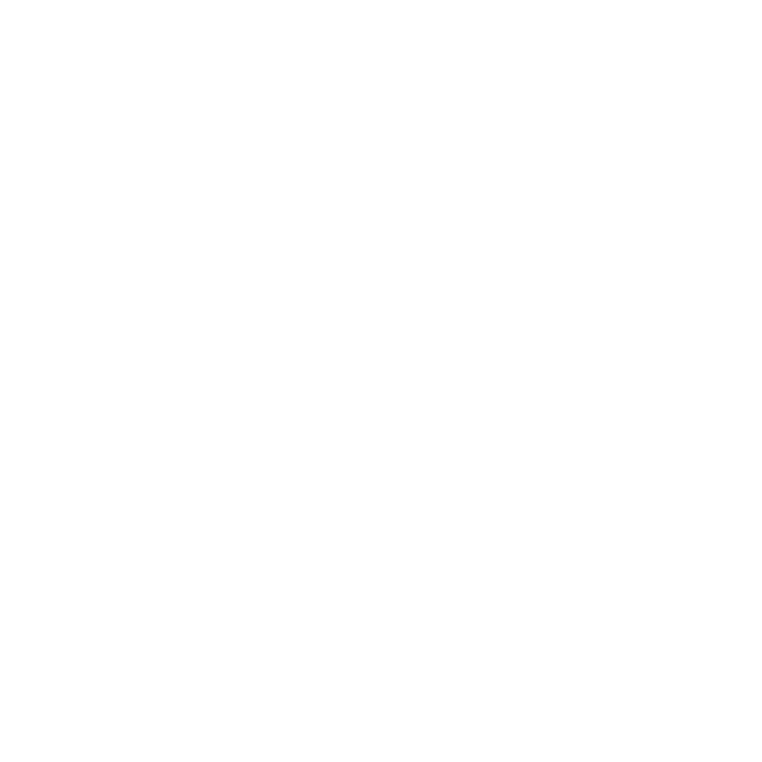 The Girl before