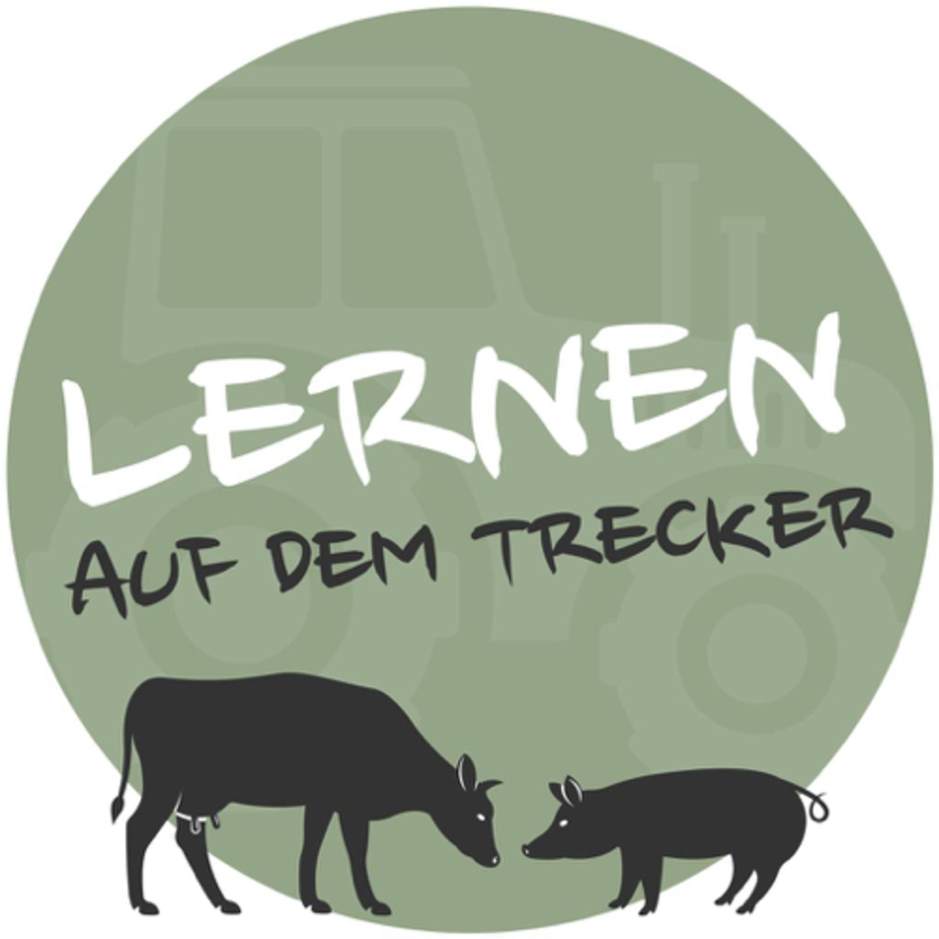 06. Kälberkrankheiten