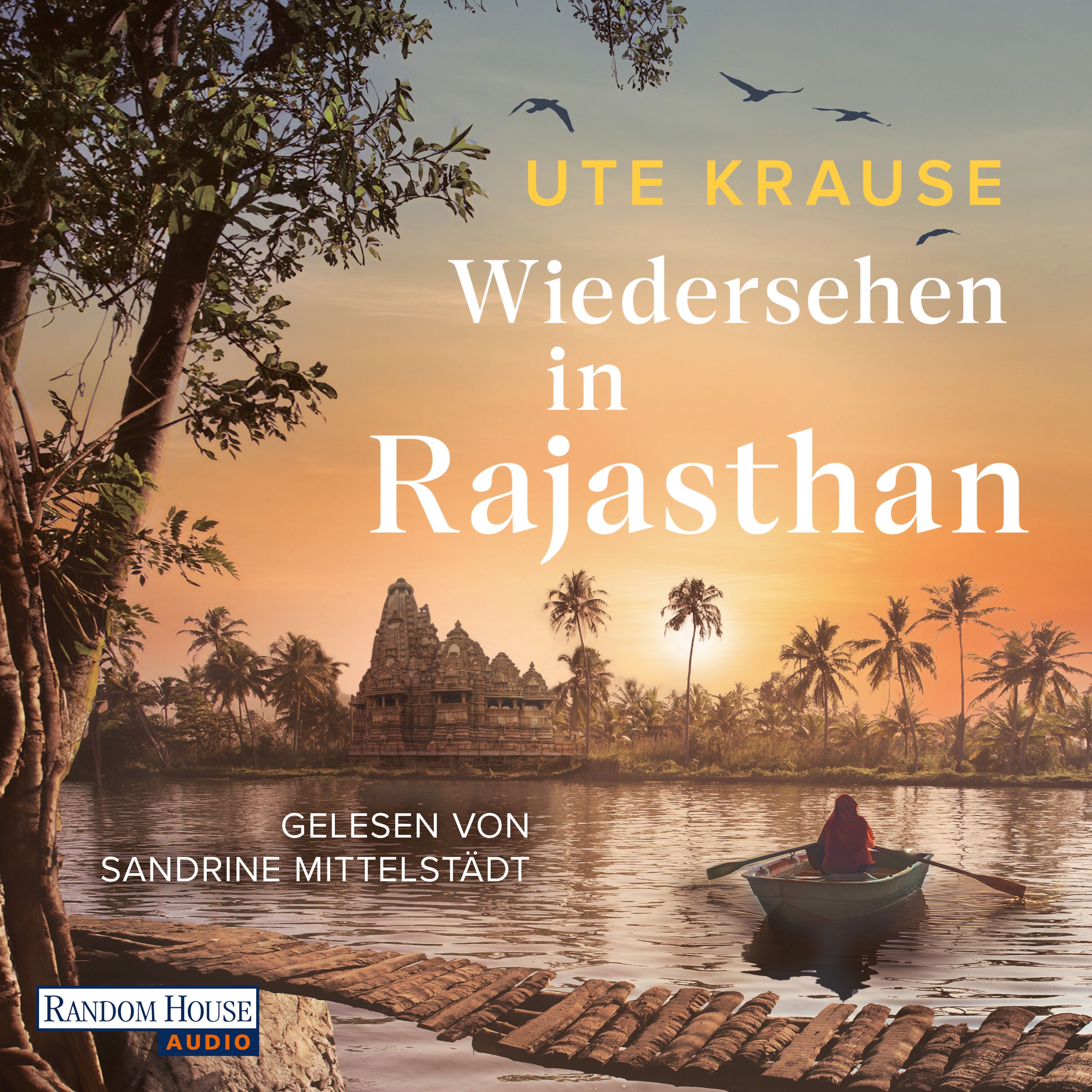 Wiedersehen in Rajasthan
