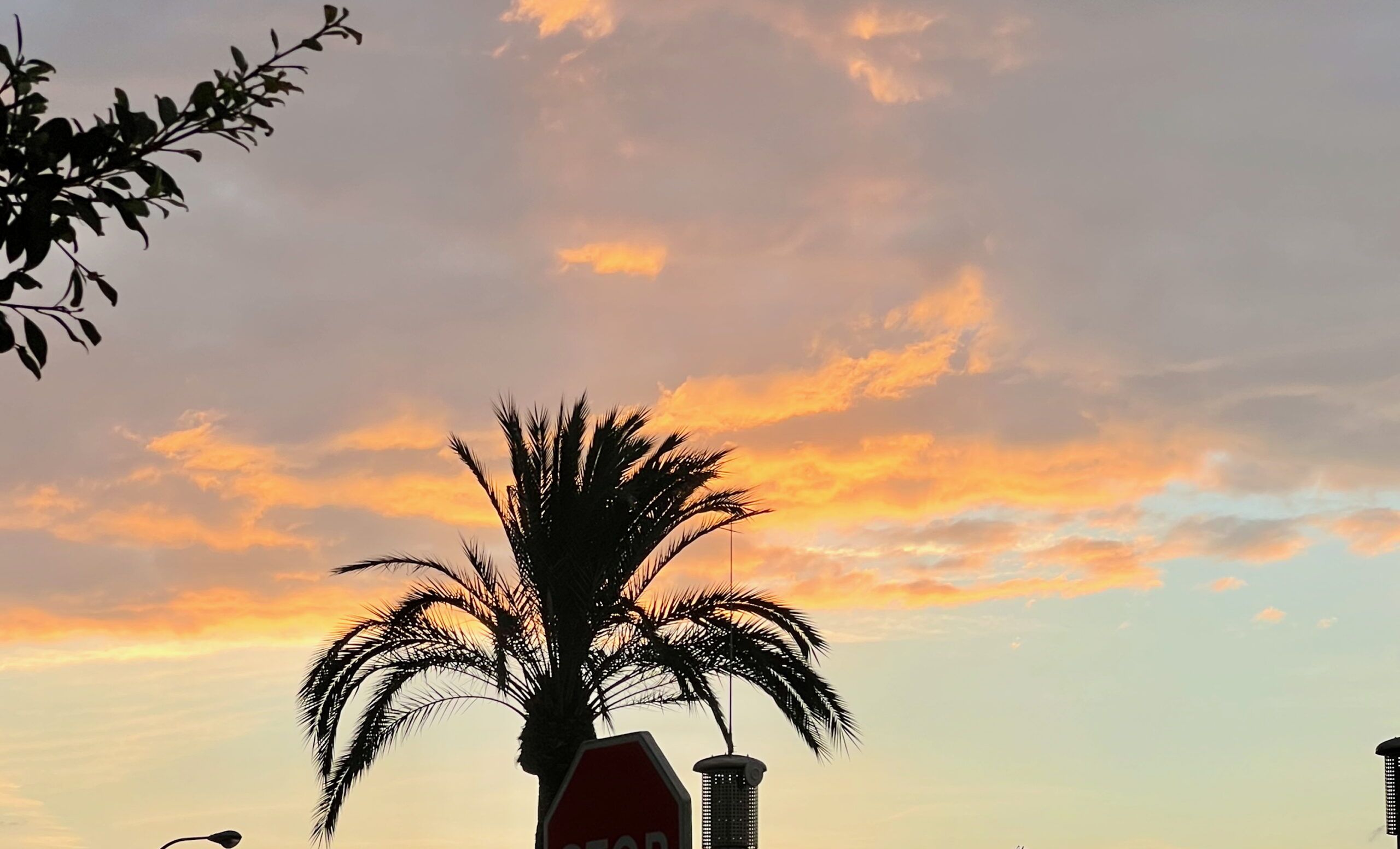 5 Minuten Mallorca | Nachrichten am 15. Oktober 2025