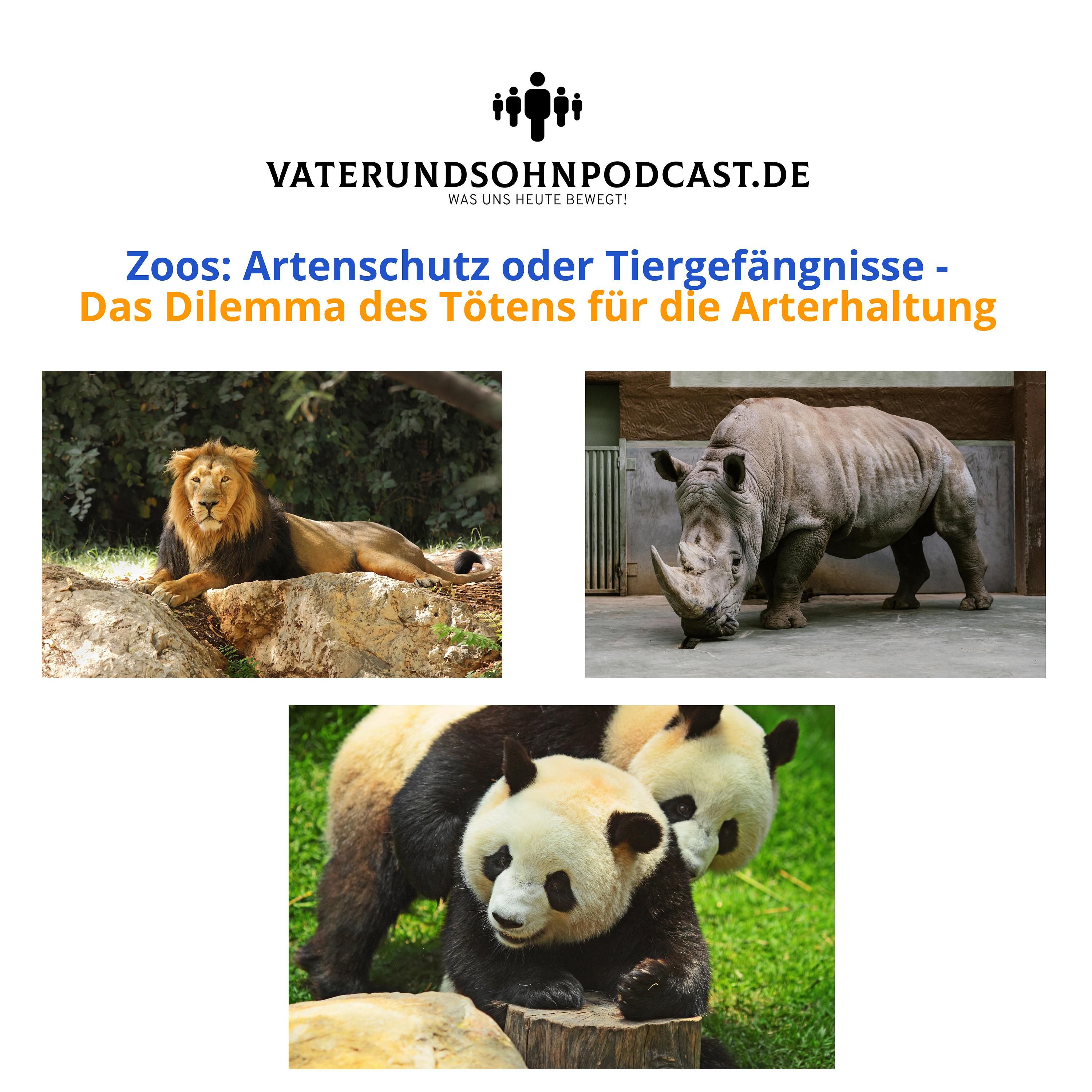 Zoos: Artenschutz oder Tiergefängnisse - Das Dilemma des Tötens zur Arterhaltung