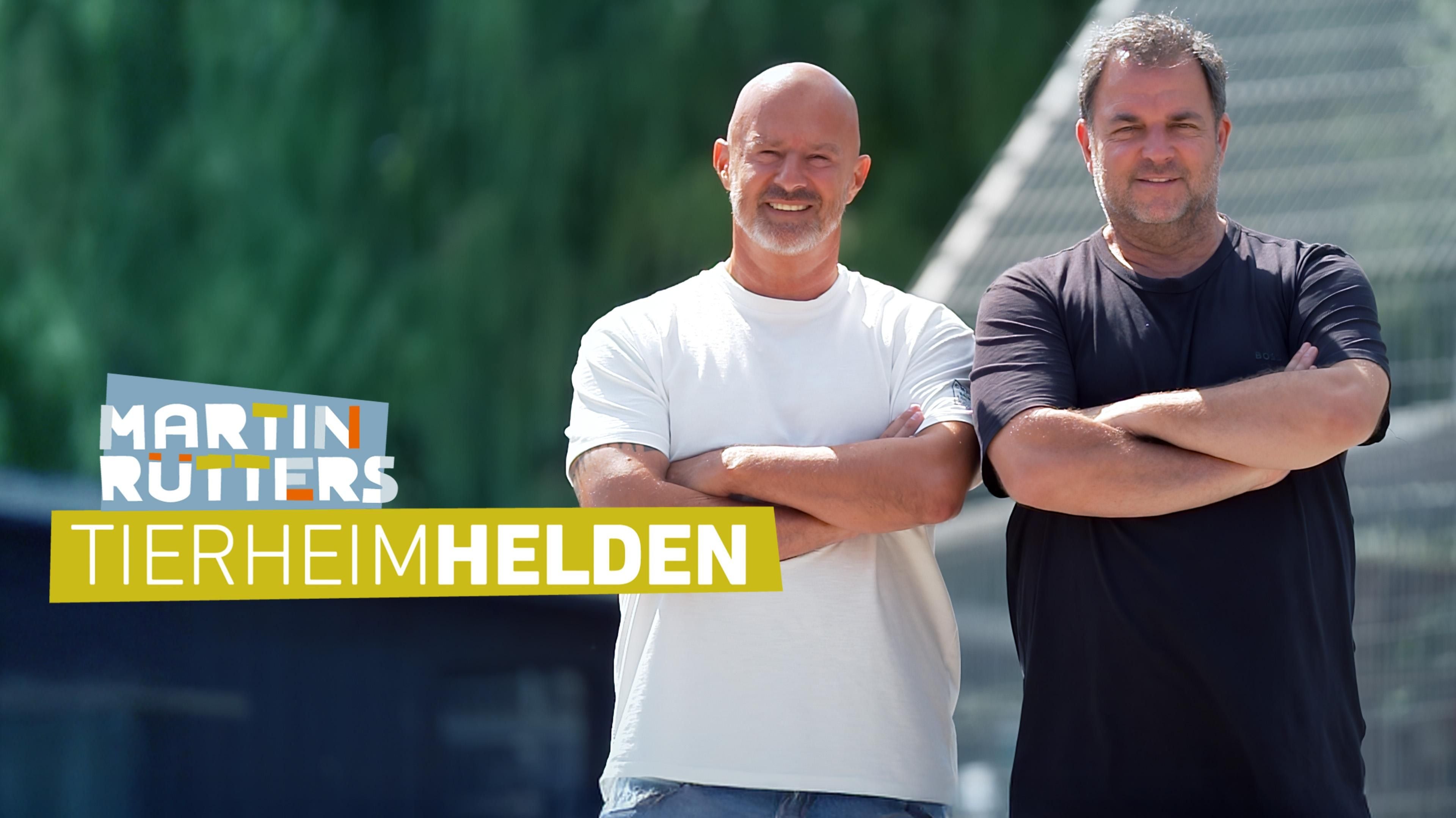 Martin Rütters Tierheimhelden