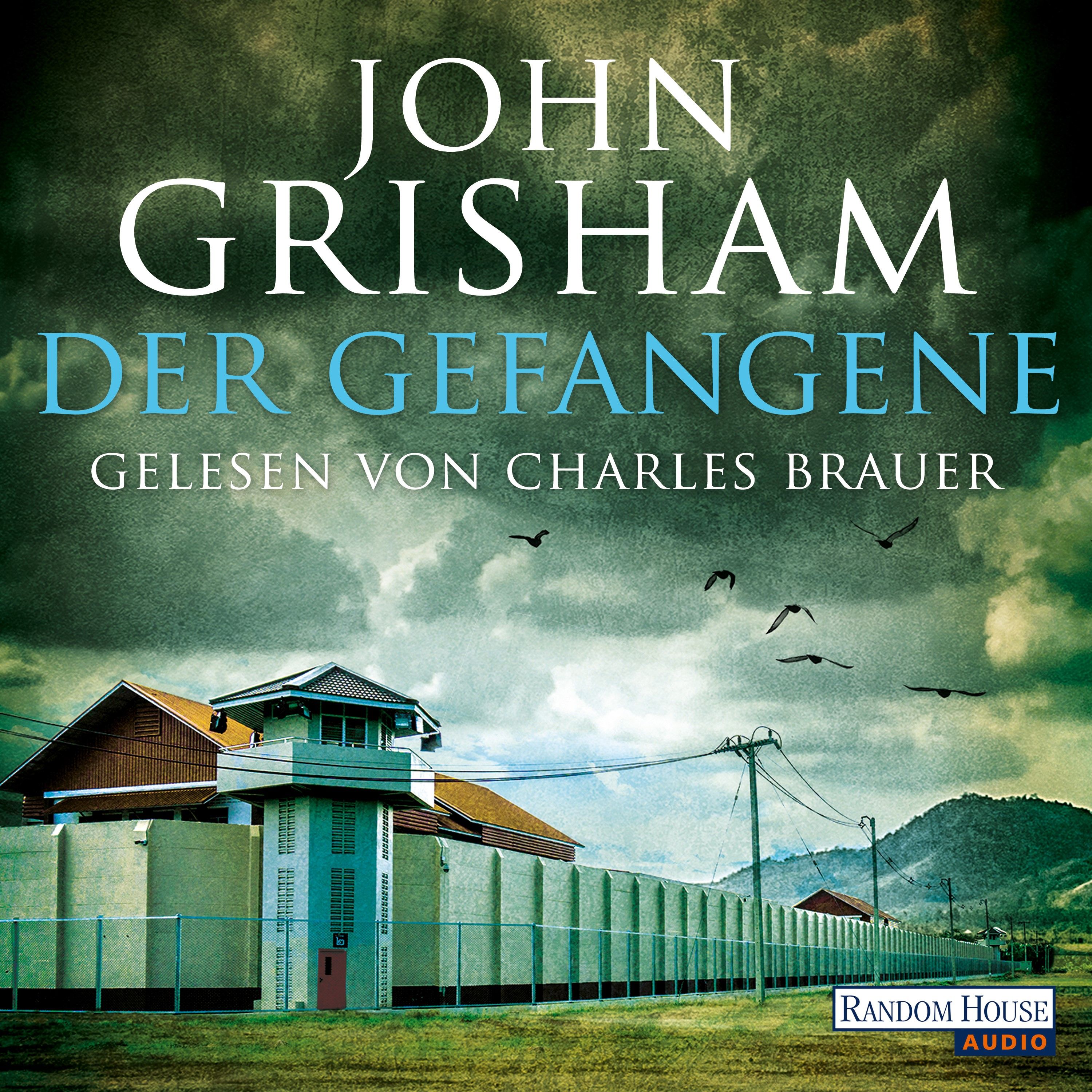 Der Gefangene