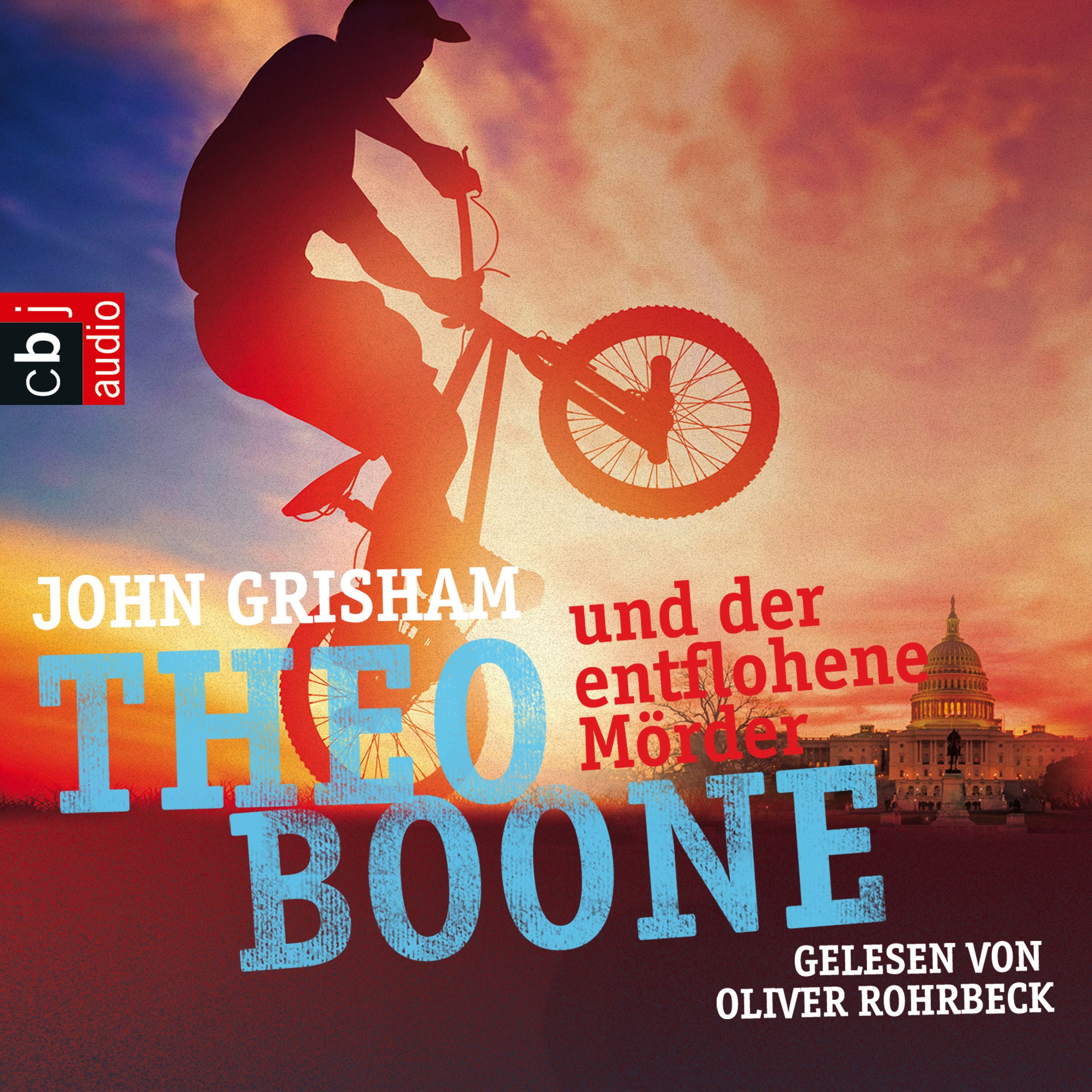 Theo Boone und der entflohene Mörder