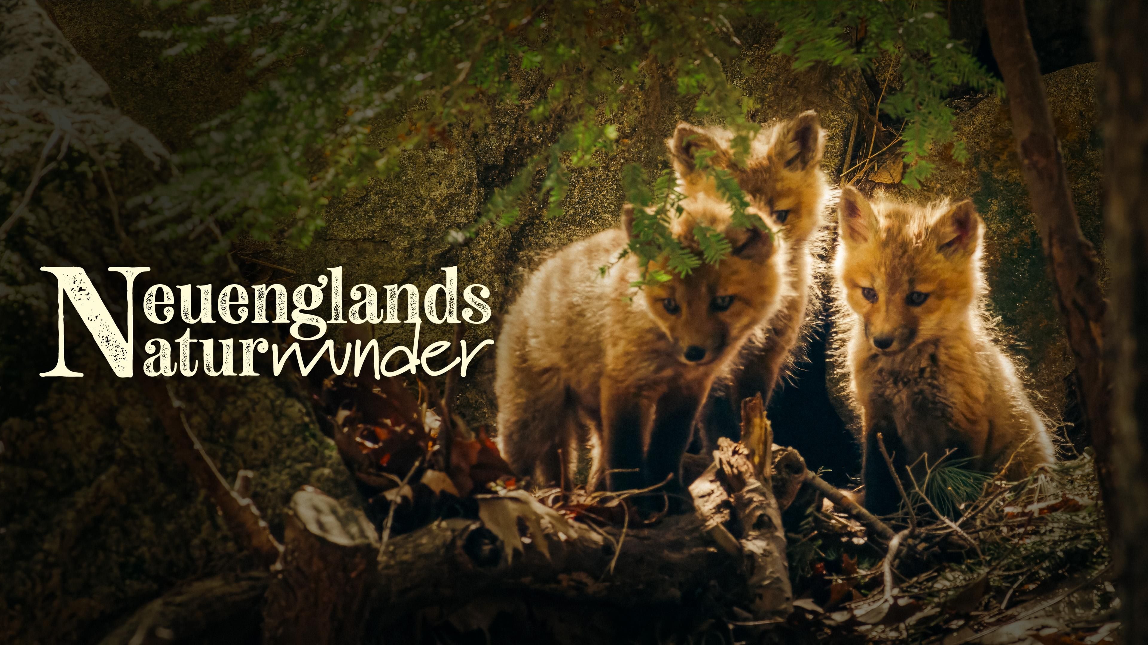 Neuenglands Naturwunder