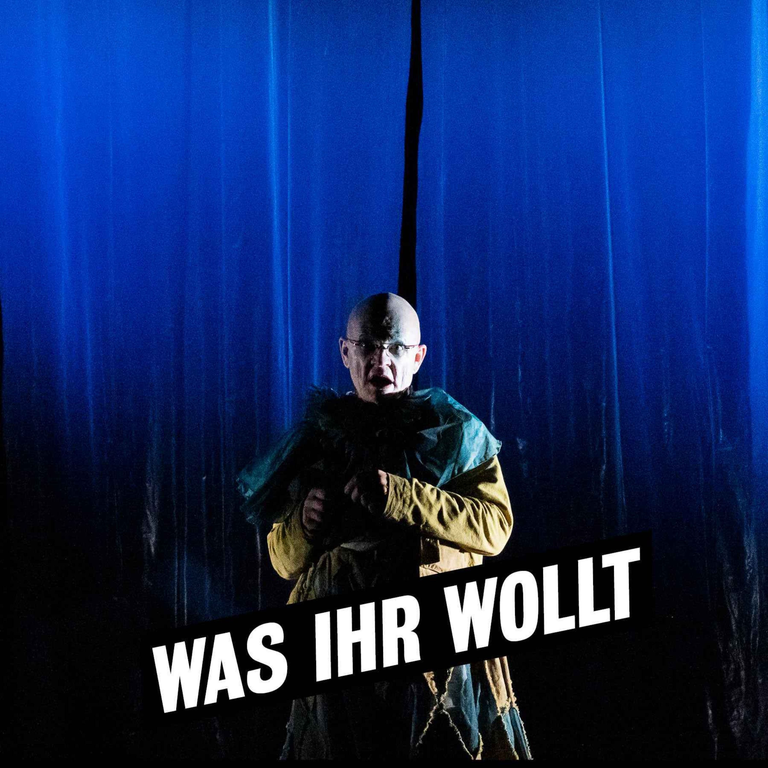 Audioeinführung "Was ihr wollt"