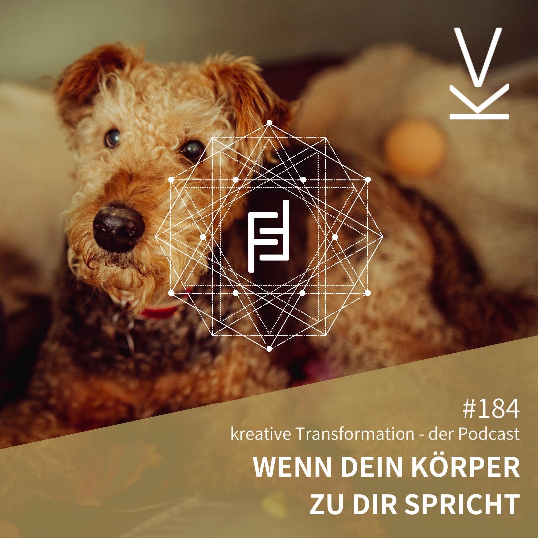 #184 Wenn dein Körper zu dir spricht
