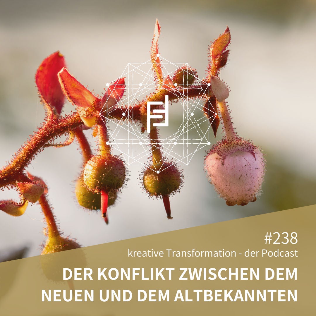 #238 Der Konflikt zwischen dem Neuen und dem Altbekannten