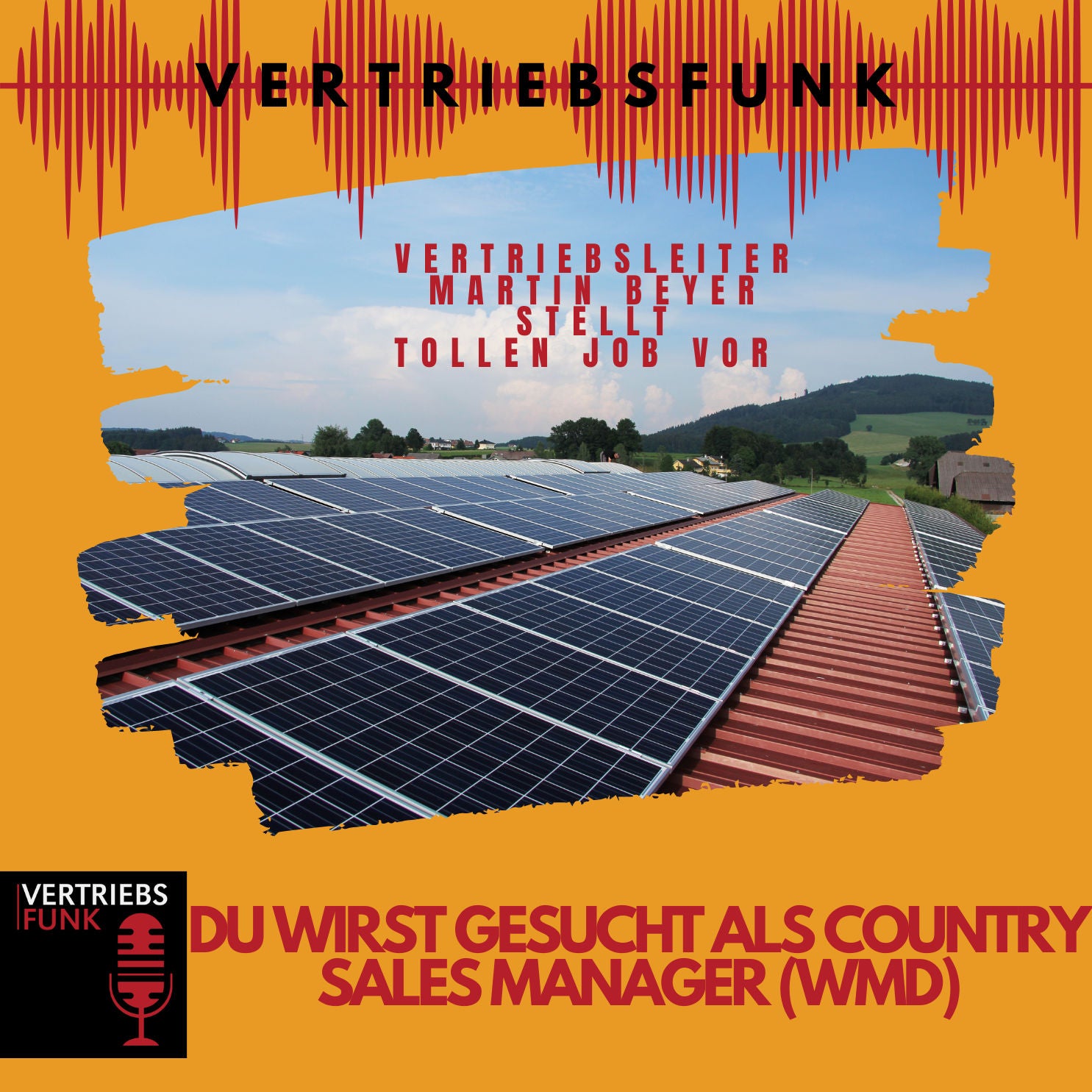 #749 COUNTRY SALES-MANAGER - PodCast Jobangebot mit Martin Beyer
