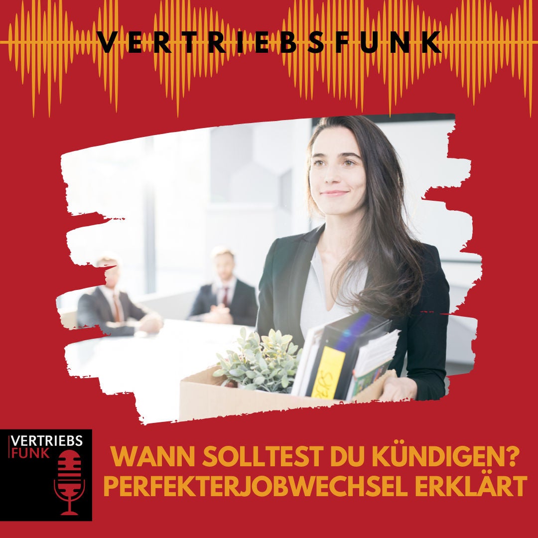 #877 Wann solltest du kündigen? PerfekterJobwechsel erklärt