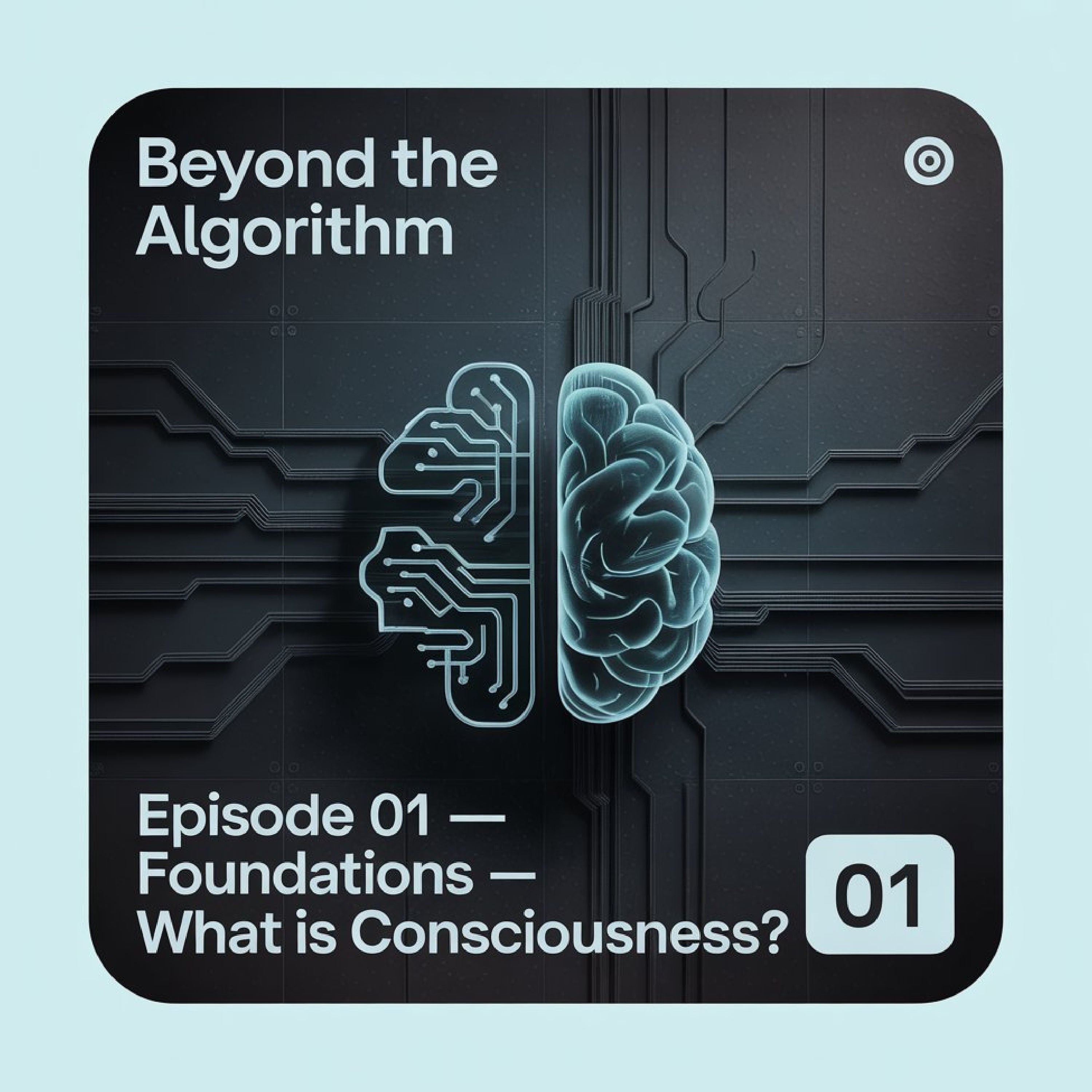 Beyond Algorithm
