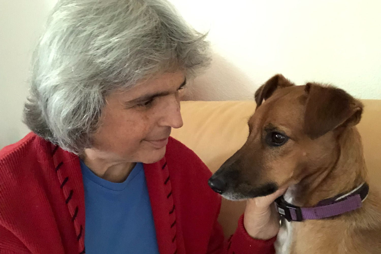Tierkommunikation: Reden mit Tieren. Paloma Bärtschi #791