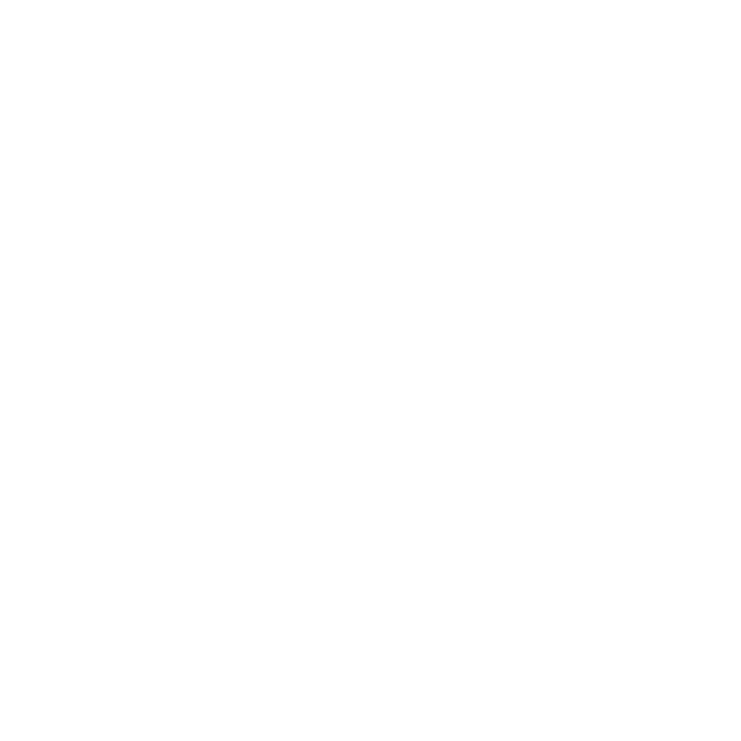 stern Investigativ