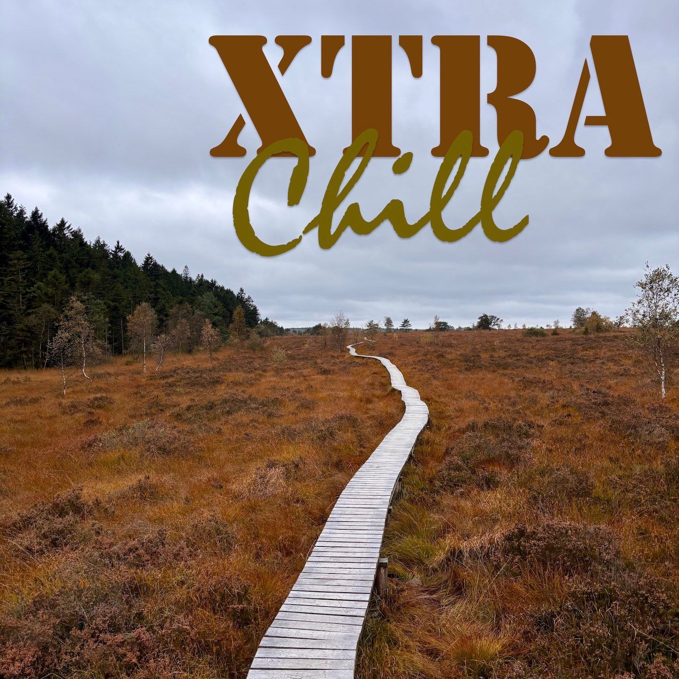 XtraChill 448