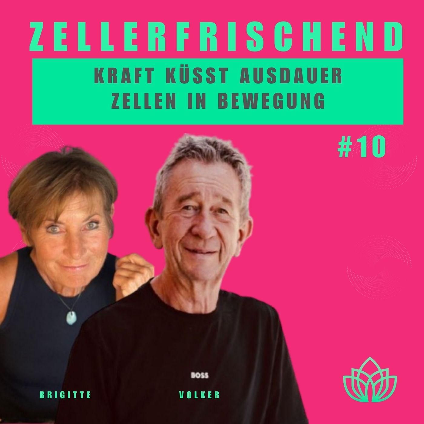 Zellerfrischend – Kraft und Kardio? Warum Schritte allein nicht reichen #10