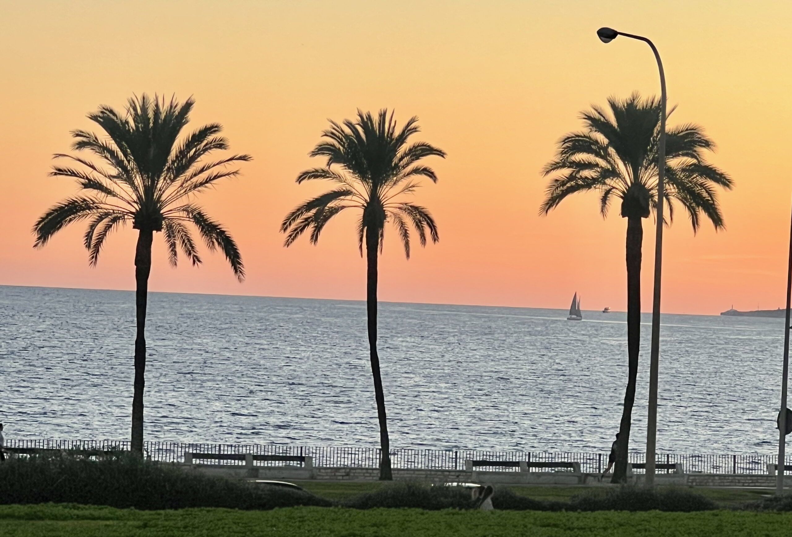 5 Minuten Mallorca | Nachrichten am 5. November 2025
