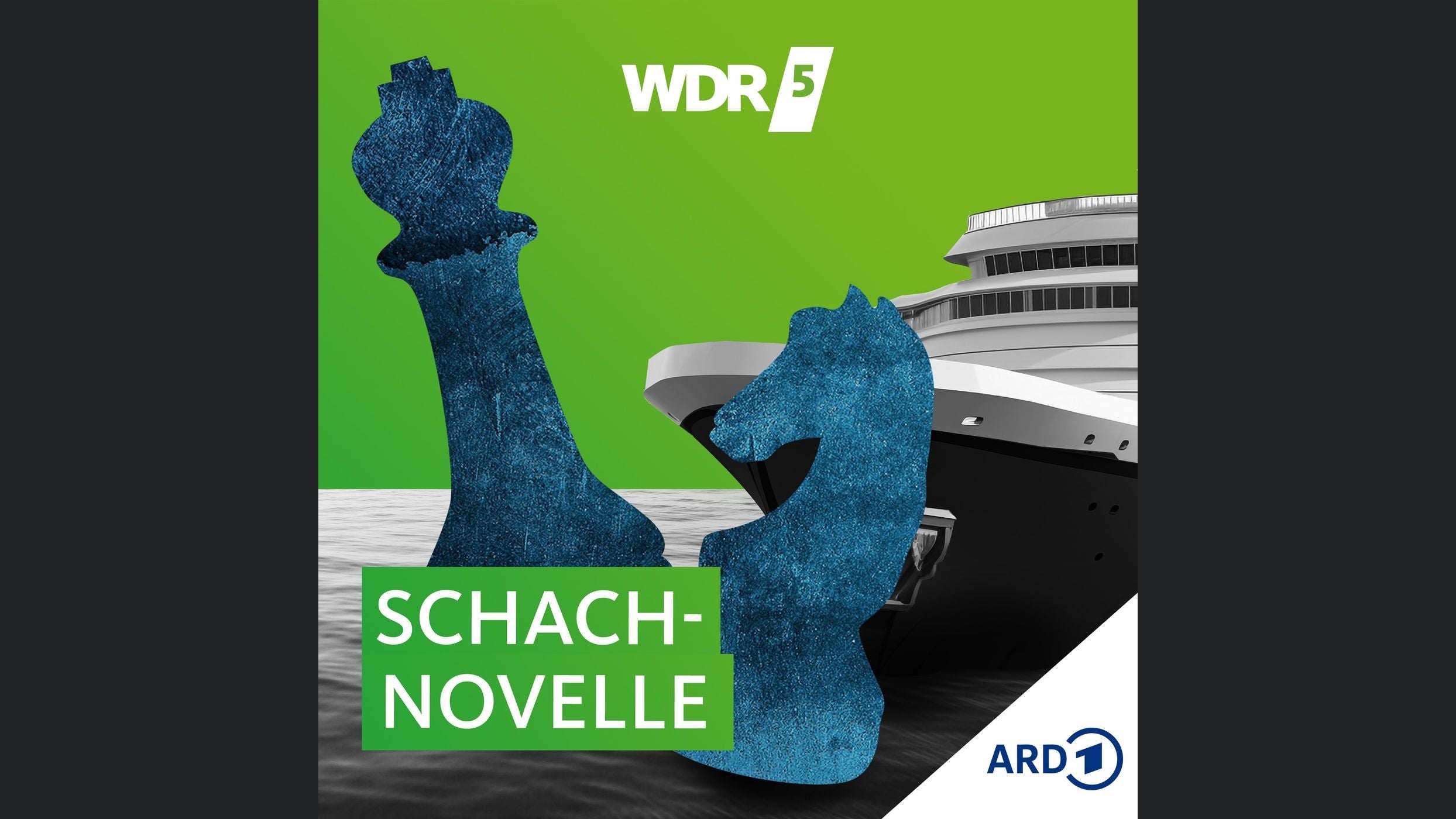 WDR 5 Schachnovelle - Hörbuch