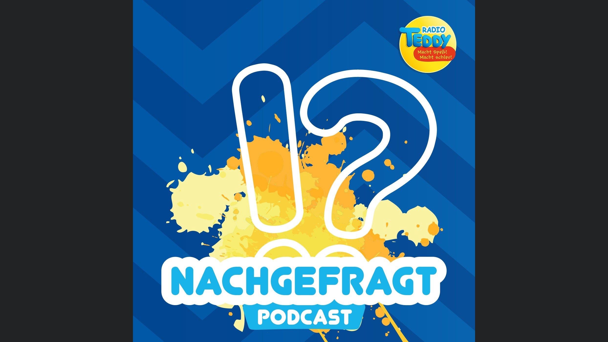 Radio TEDDY Nachgefragt