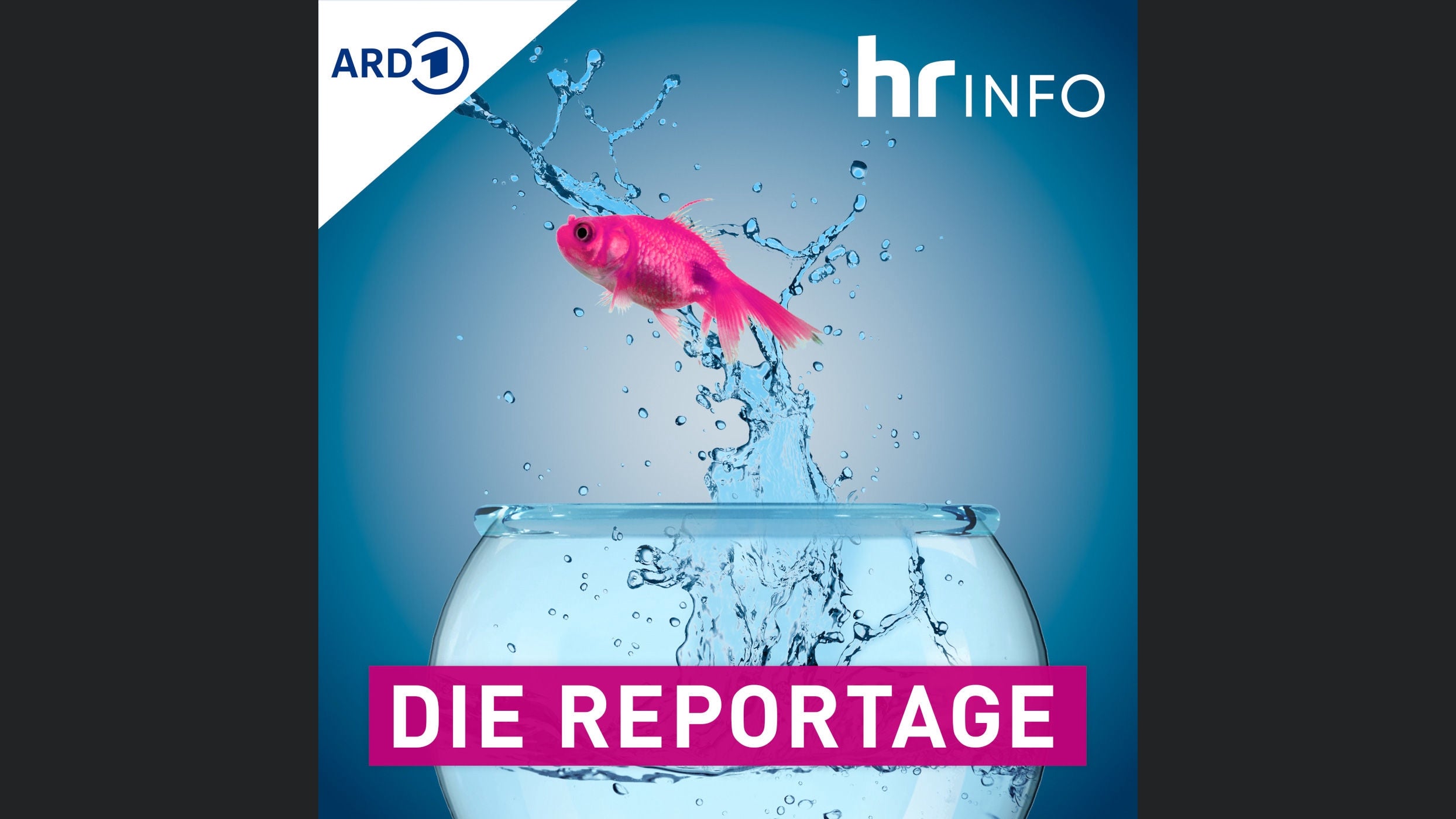 hr INFO Die Reportage