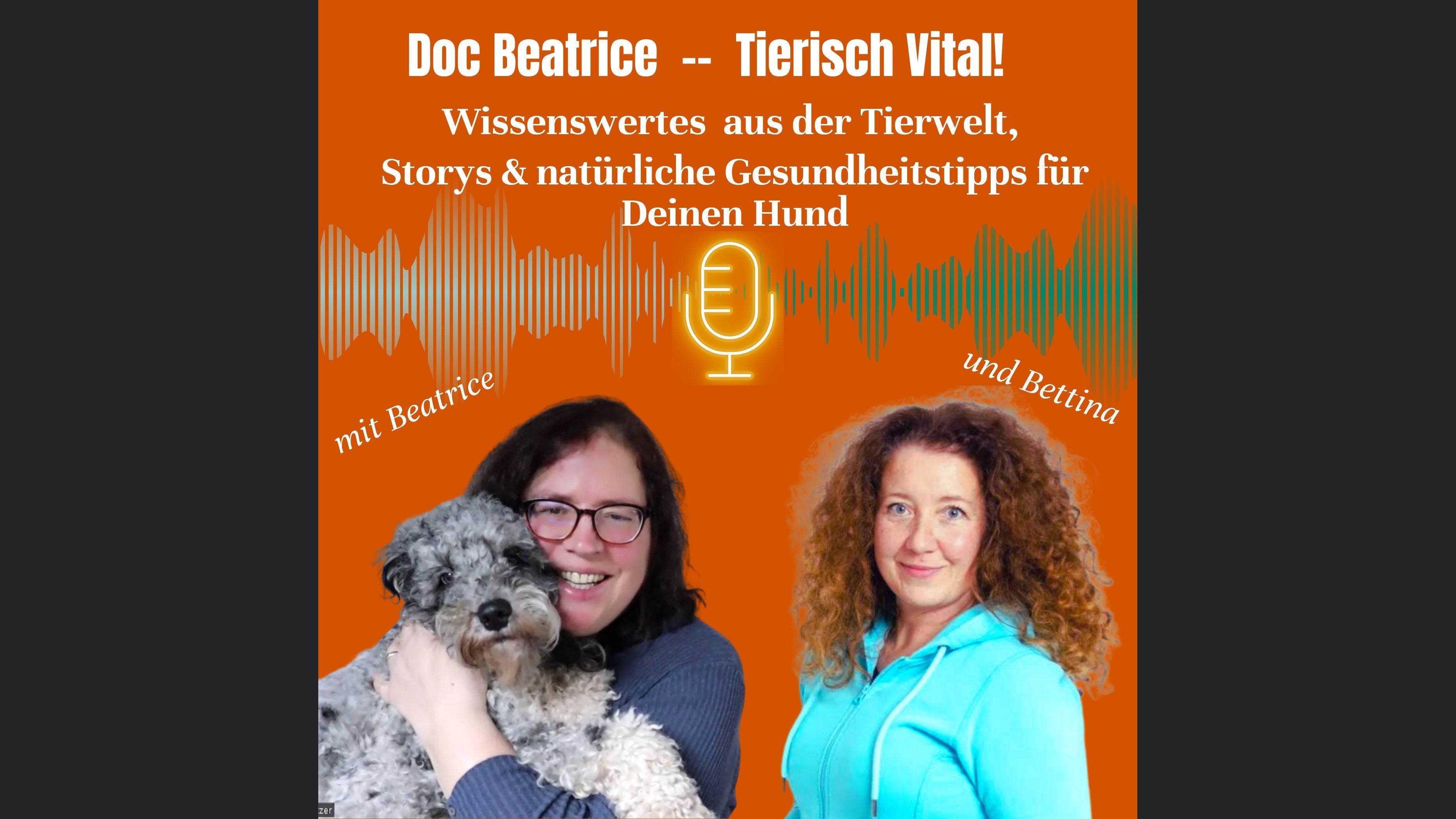 Doc Beatrice -- Tierisch Vital! Wissenswertes aus der Tierwelt, Storys & natürliche Gesundheitstipps