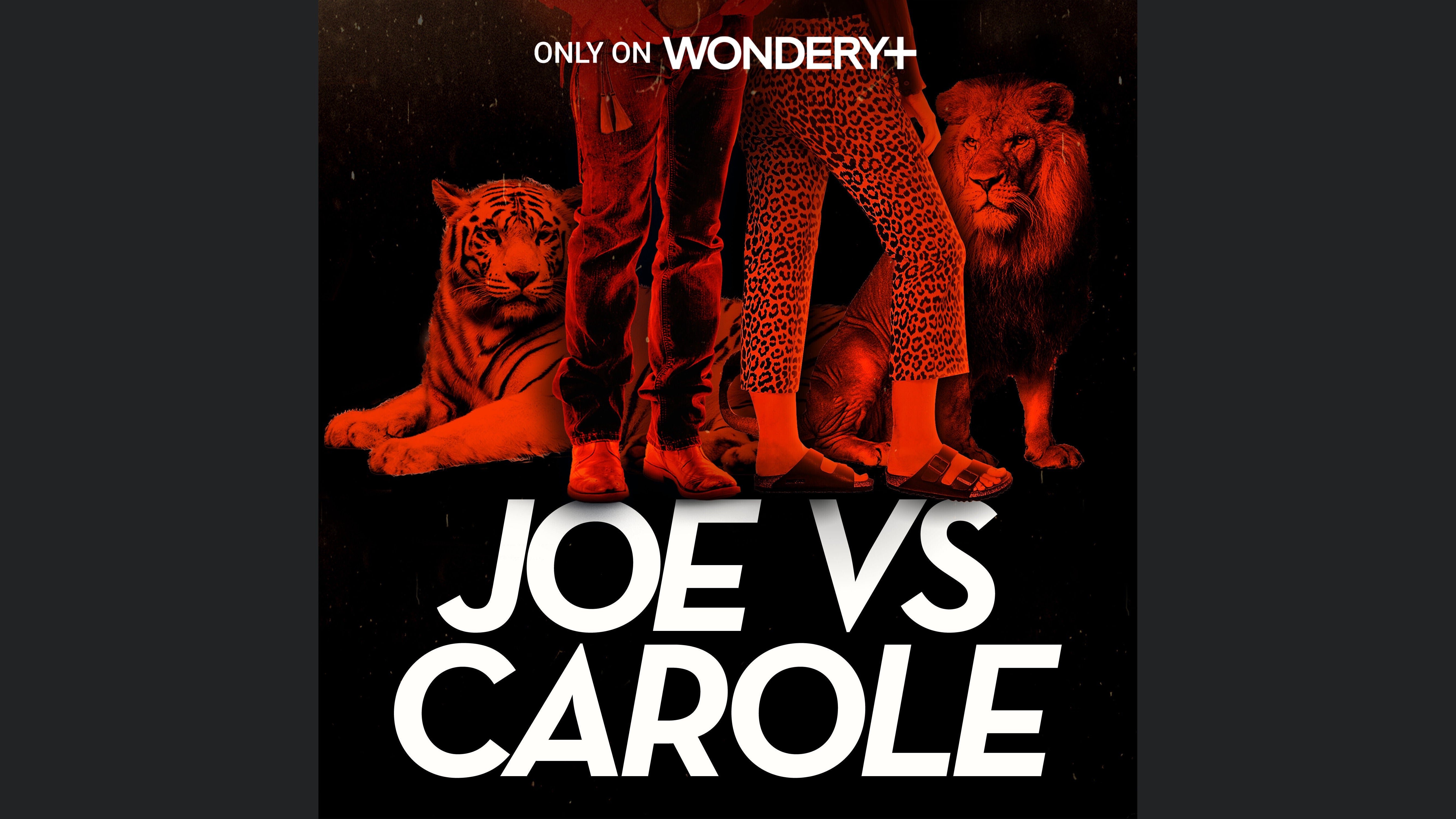 Joe vs Carole