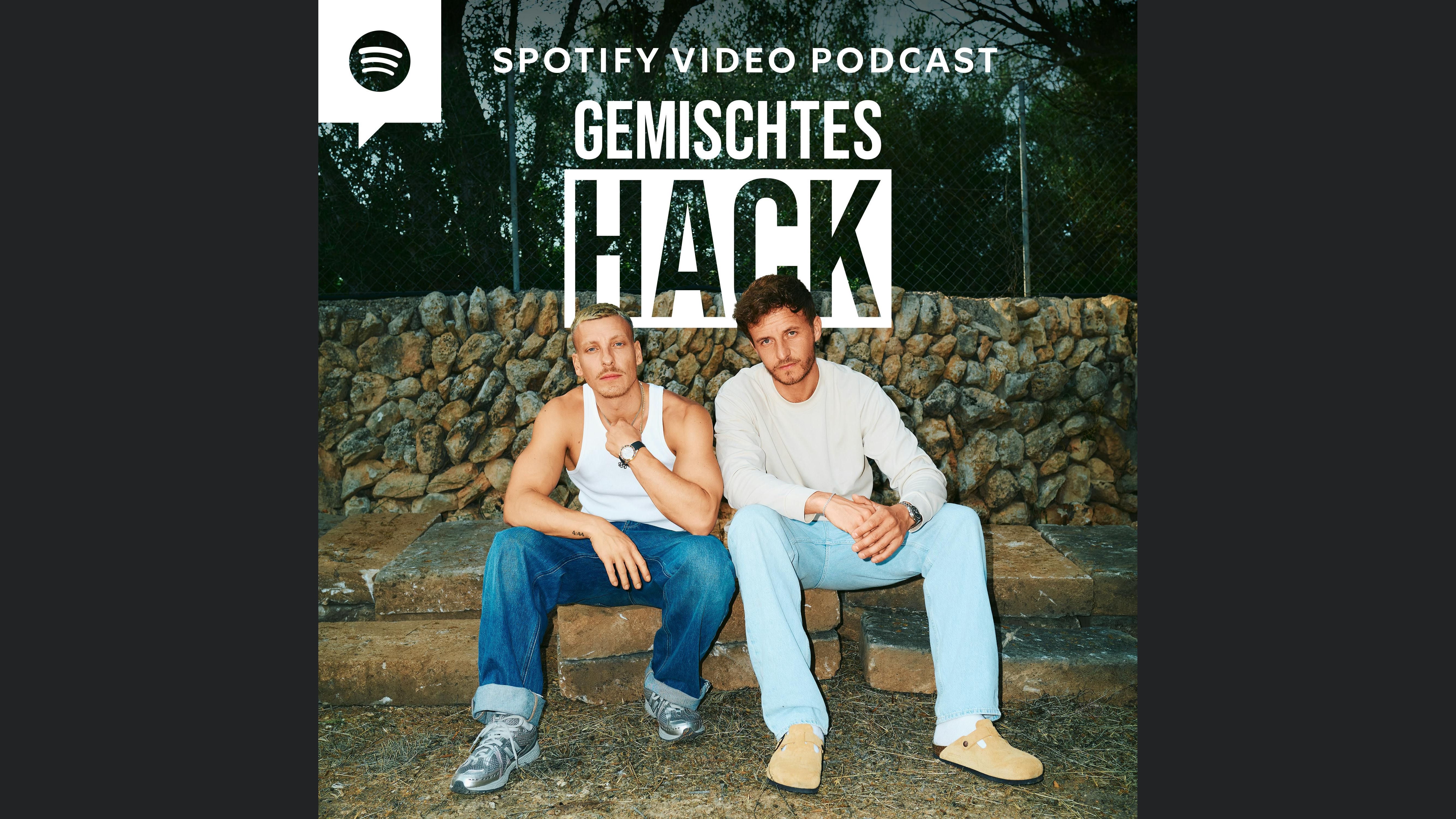 Gemischtes Hack
