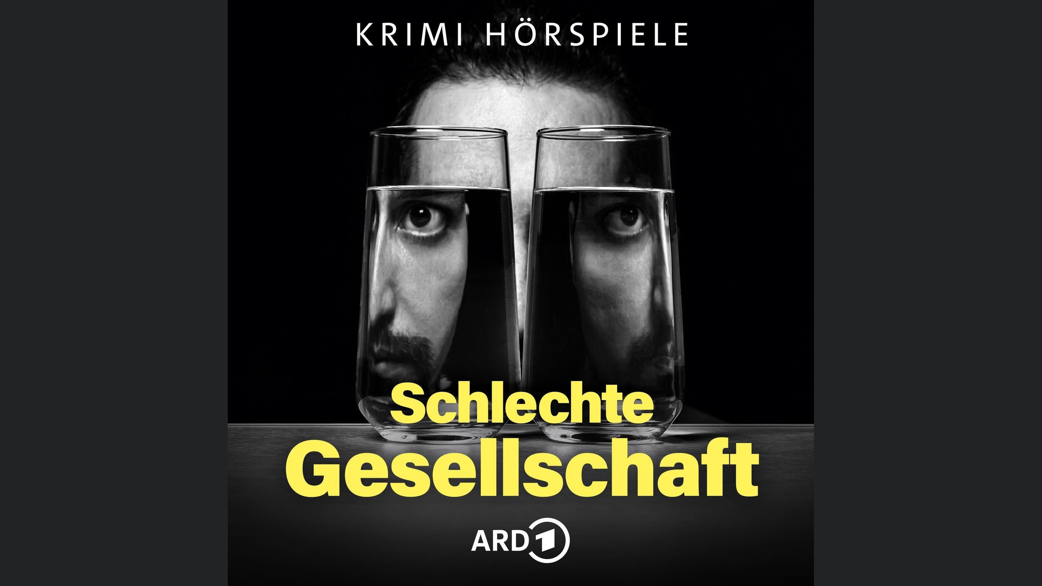 Schlechte Gesellschaft - ARD Polit- und Psychokrimis