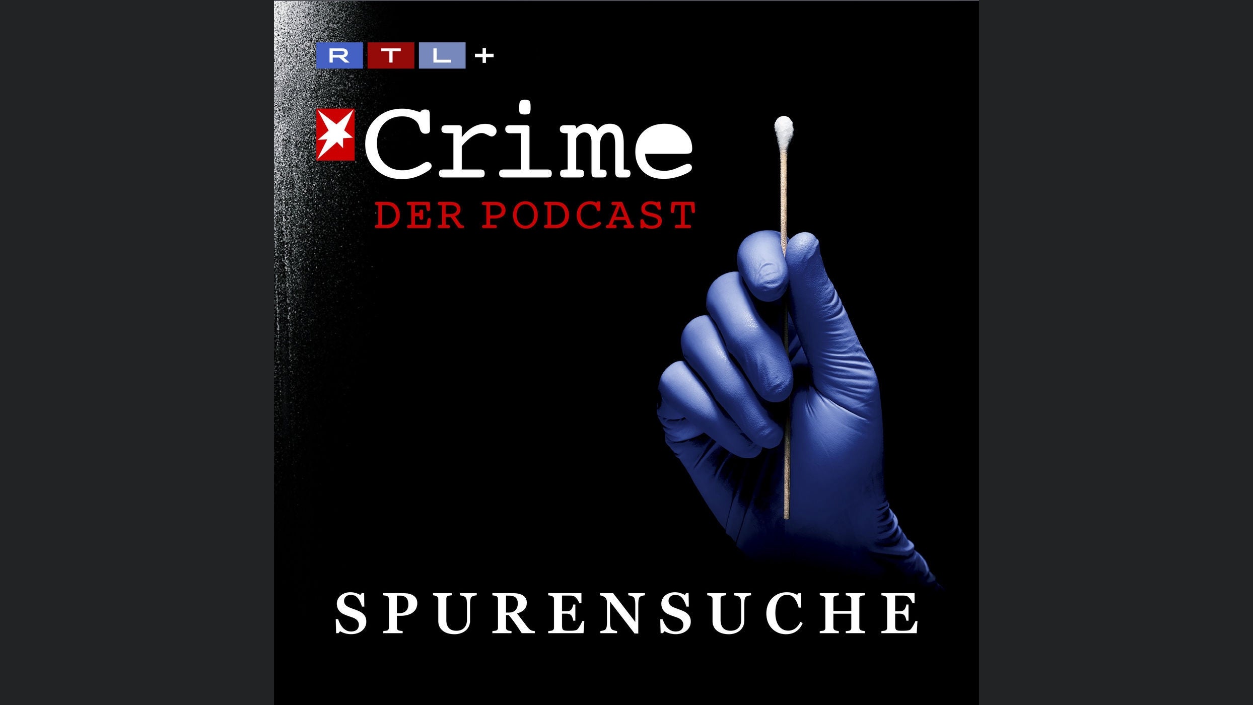 stern Crime - Spurensuche