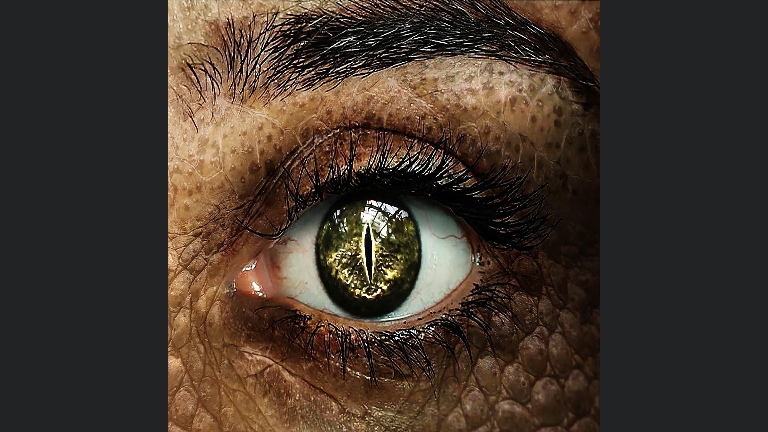 [DSA Hörspiel] Im Auge des Drachen (Fanmade)