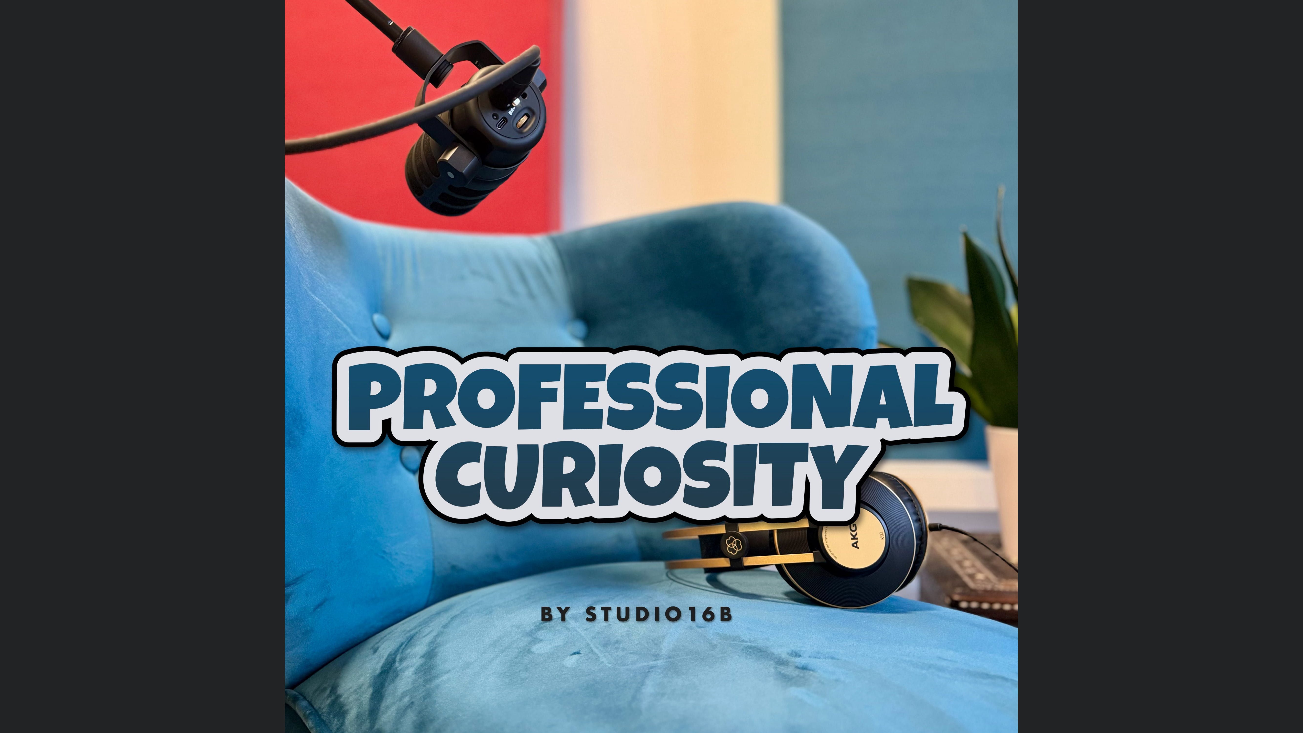 Professional Curiosity (by STUDIO16B)
