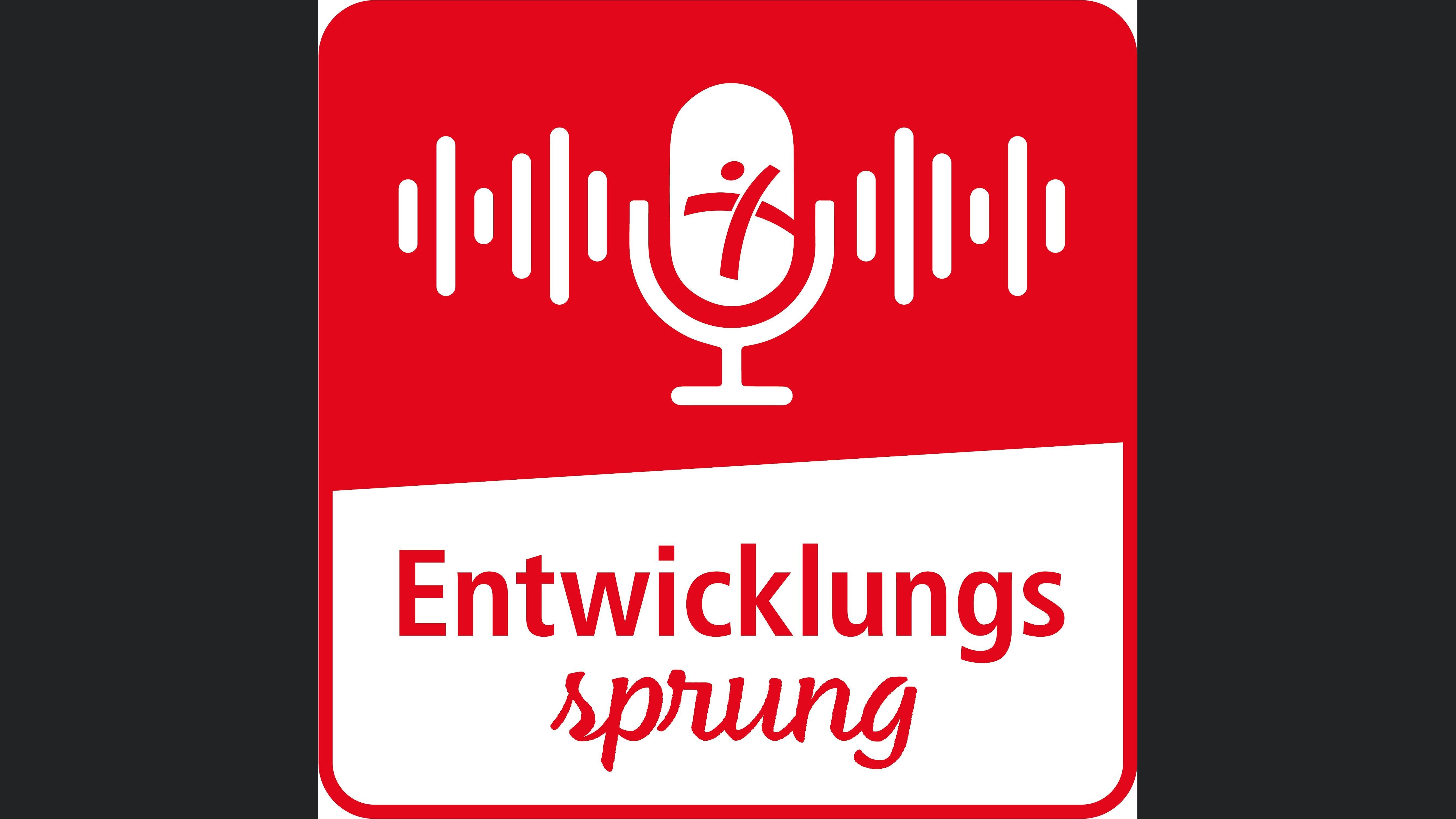 Entwicklungssprung - Der Podcast für Menschen in Bewegung