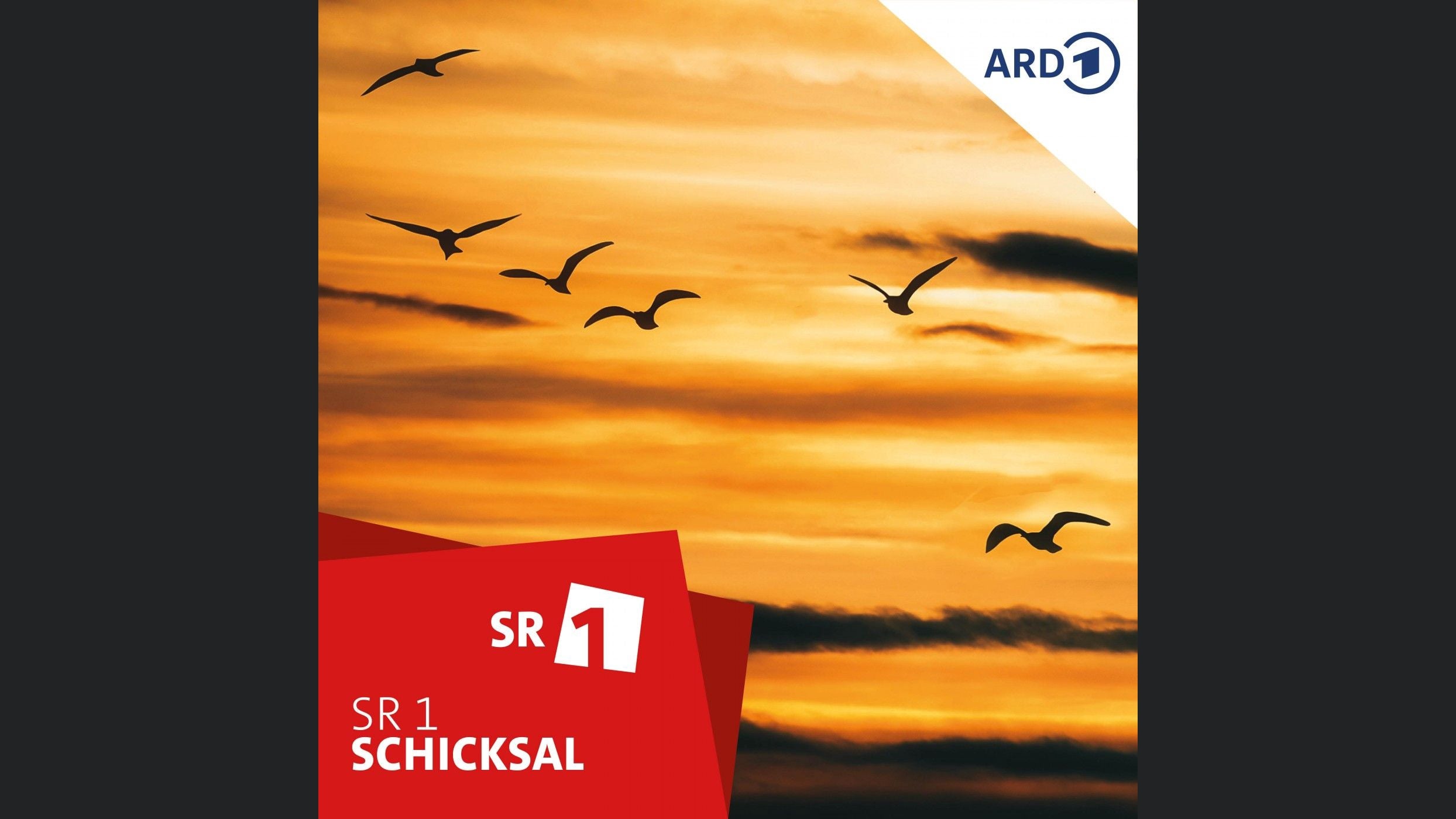 Schicksal - der SR 1-Podcast über das Leben