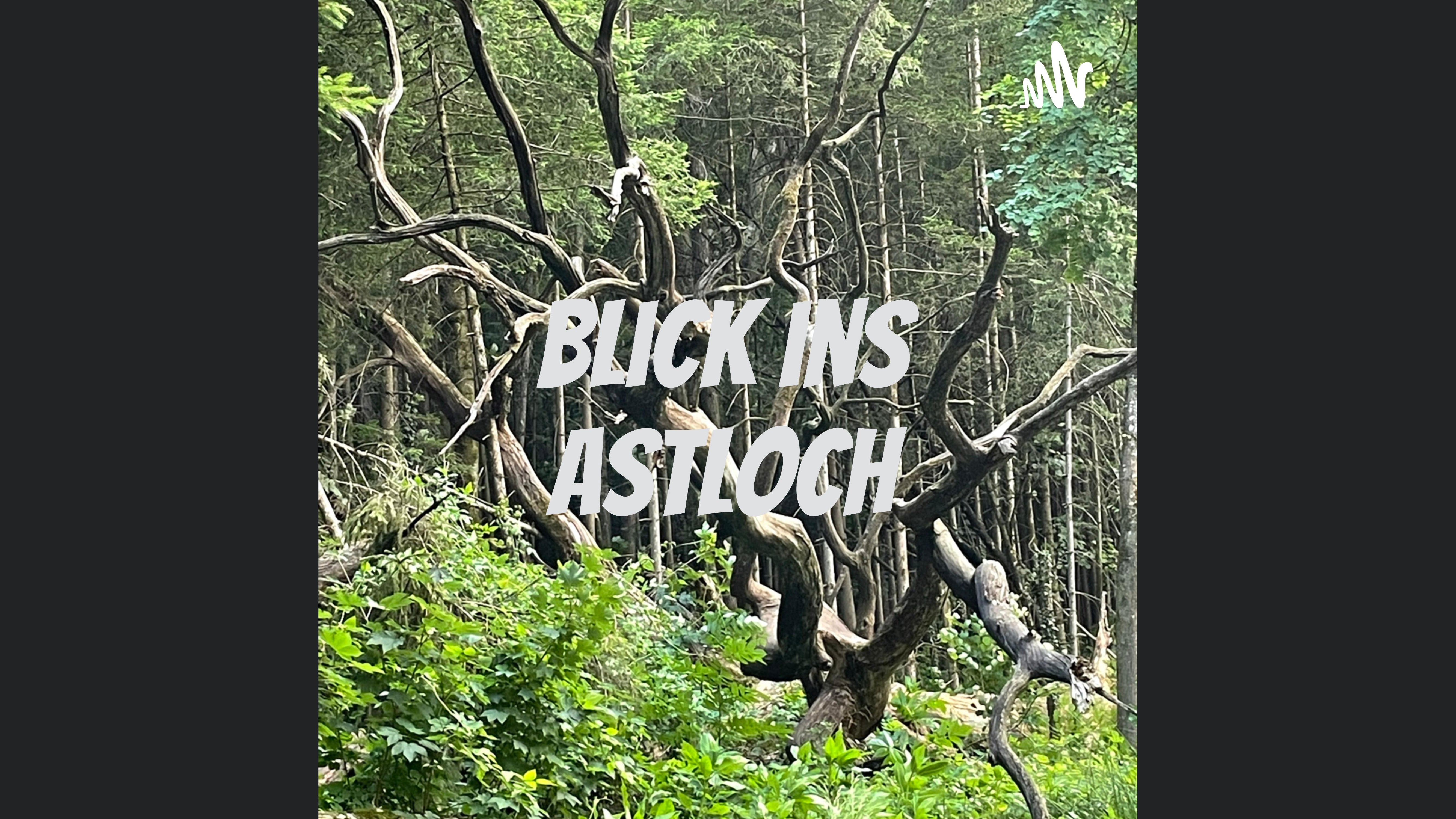 Blick ins Astloch