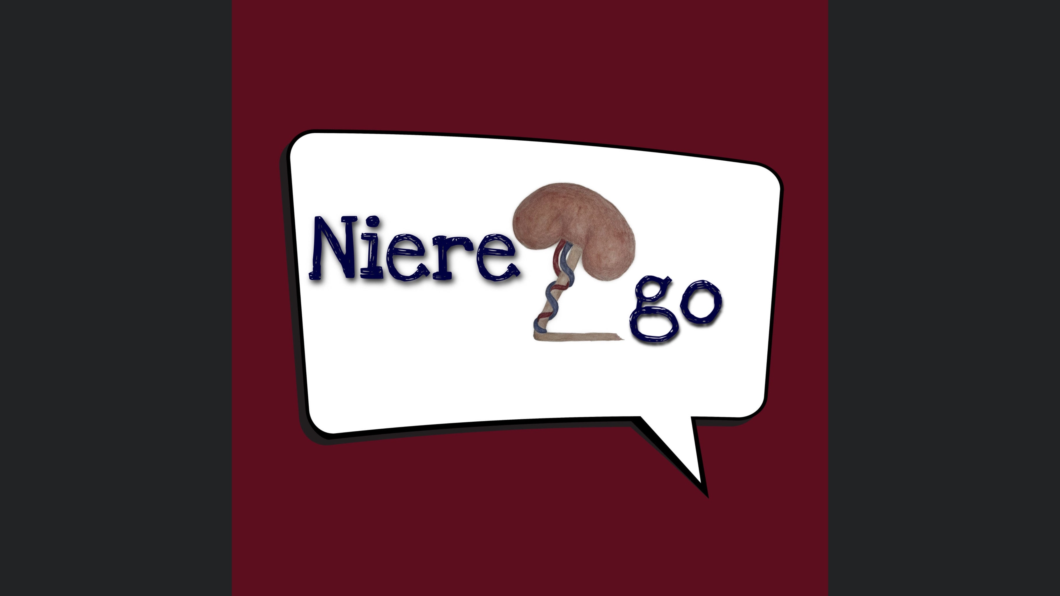 Niere2go