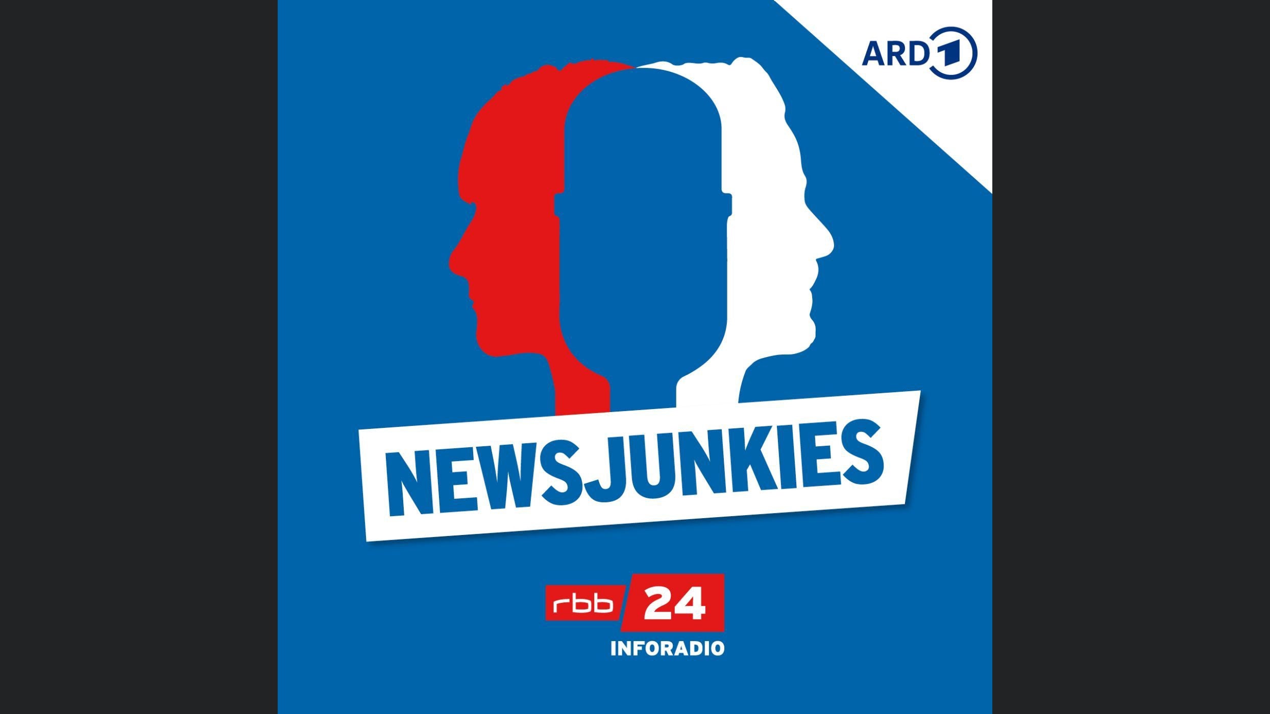 Newsjunkies – verstehen, was uns bewegt