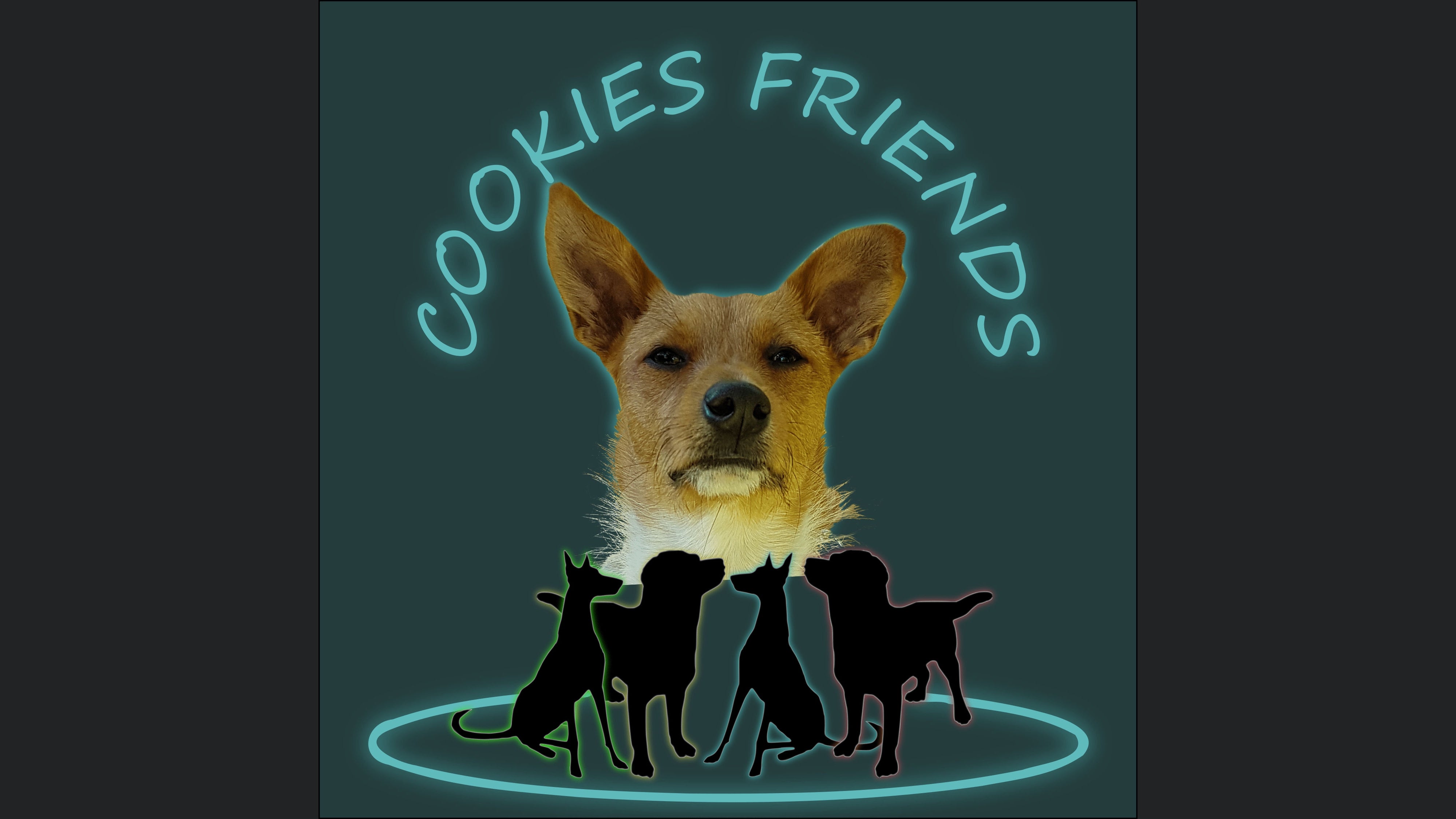 Cookies Friends. Der Podcast für Tierschutz-Hunde