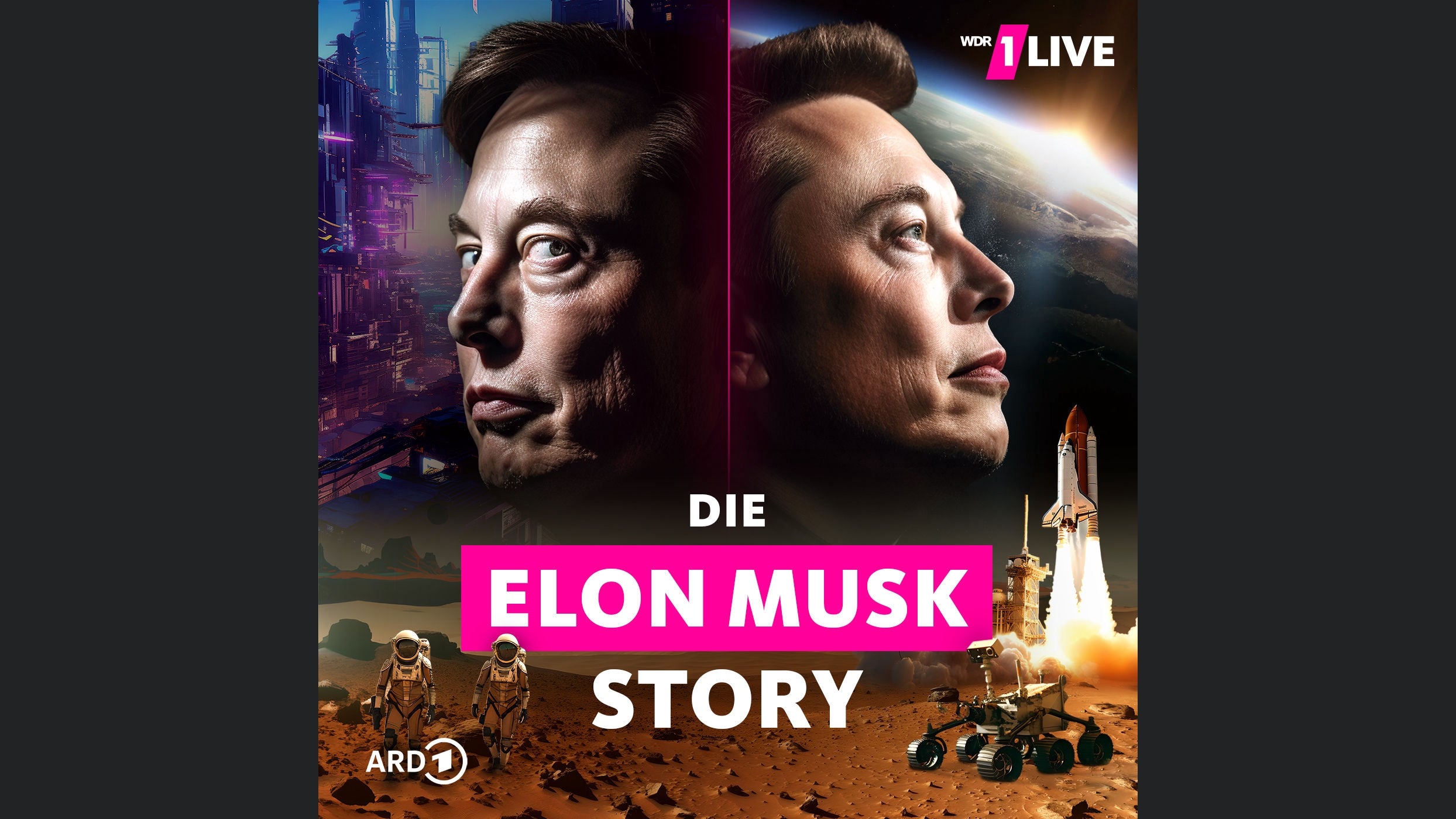 Die Elon Musk Story