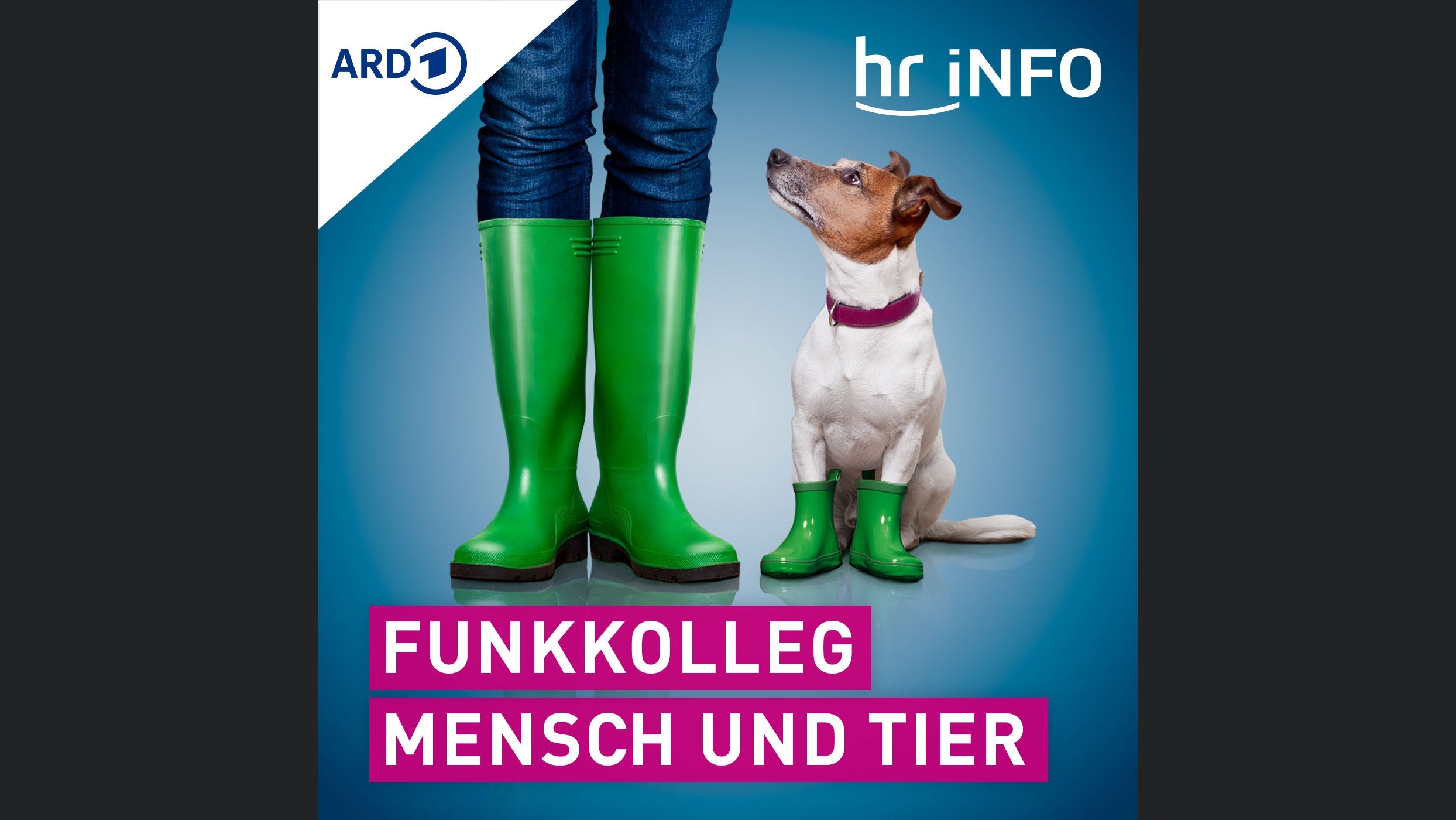 hr-iNFO Funkkolleg Mensch und Tier