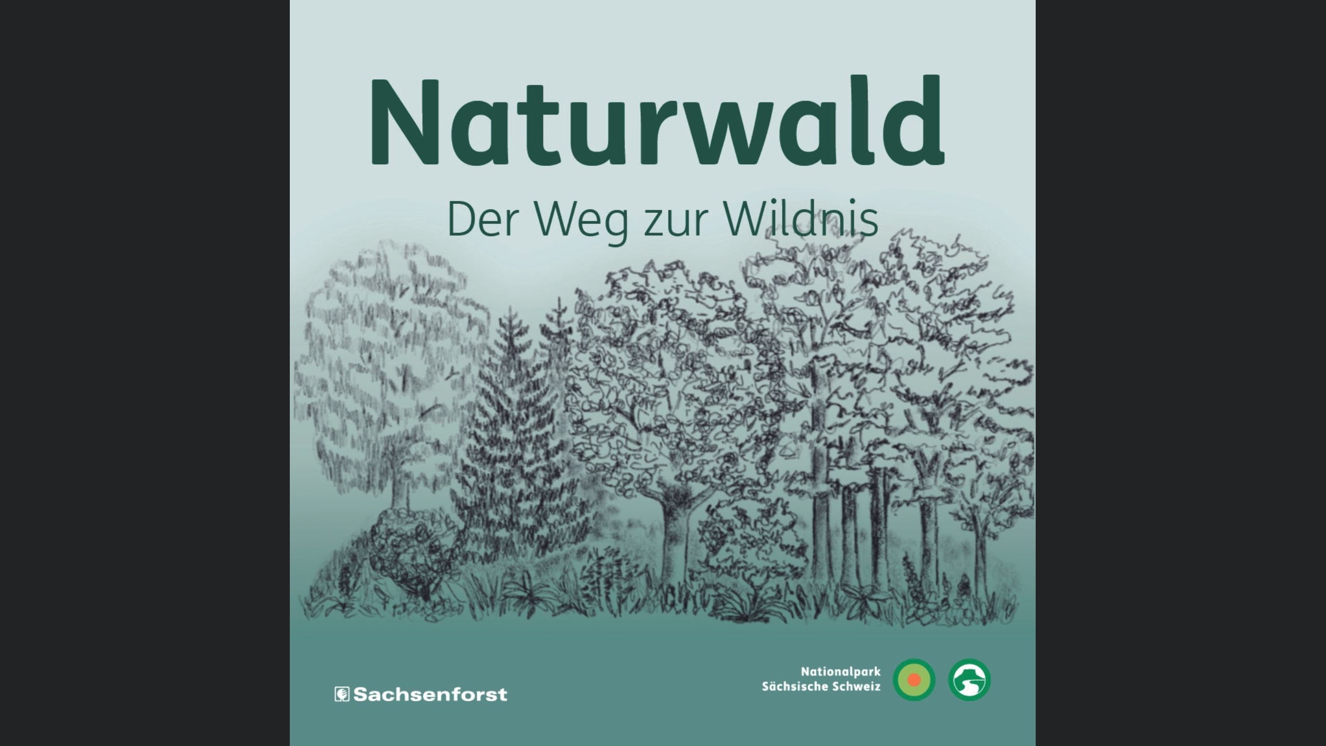 Naturwald - Der Weg zur Wildnis