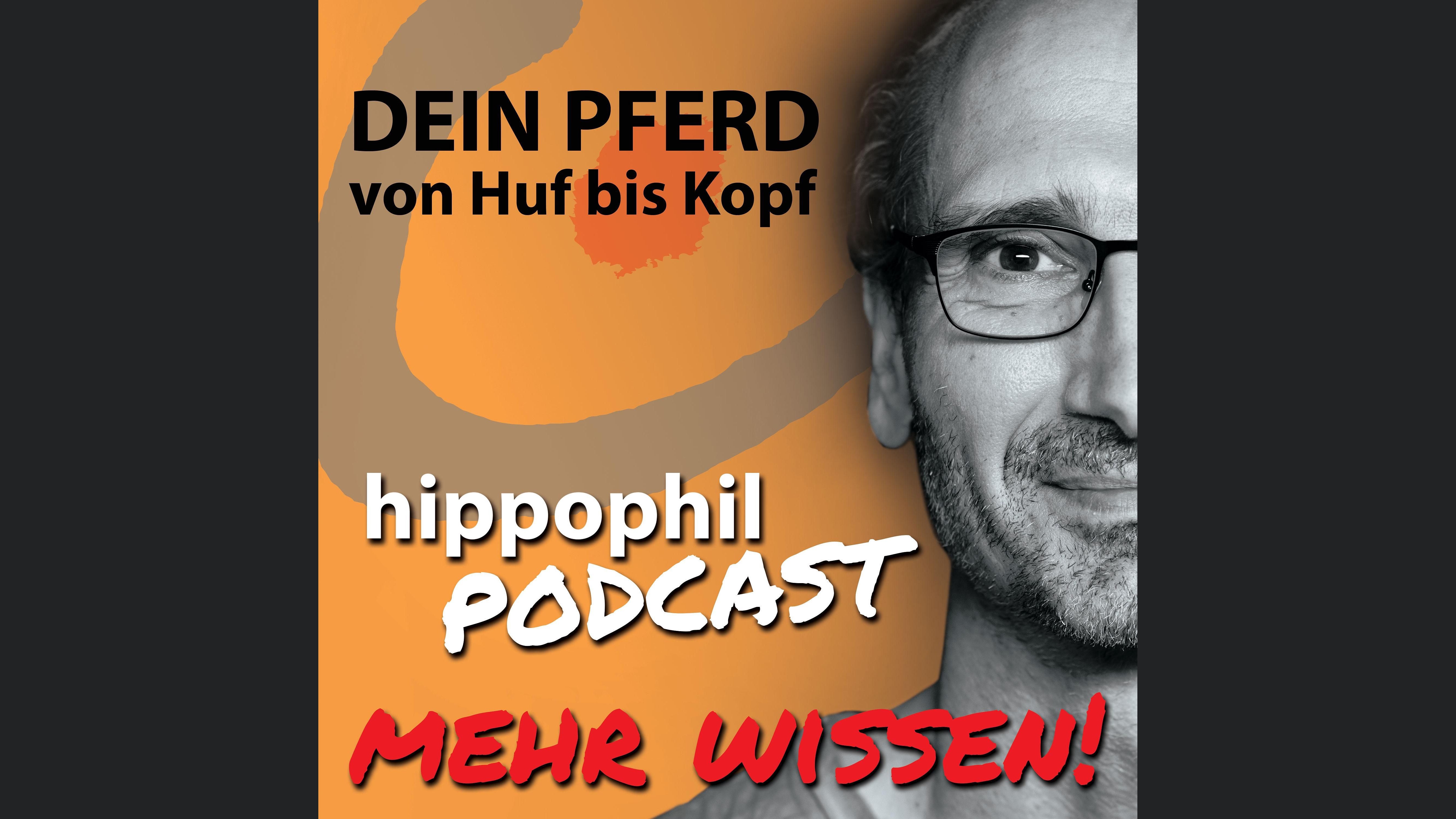 Dein Pferd von Huf bis Kopf