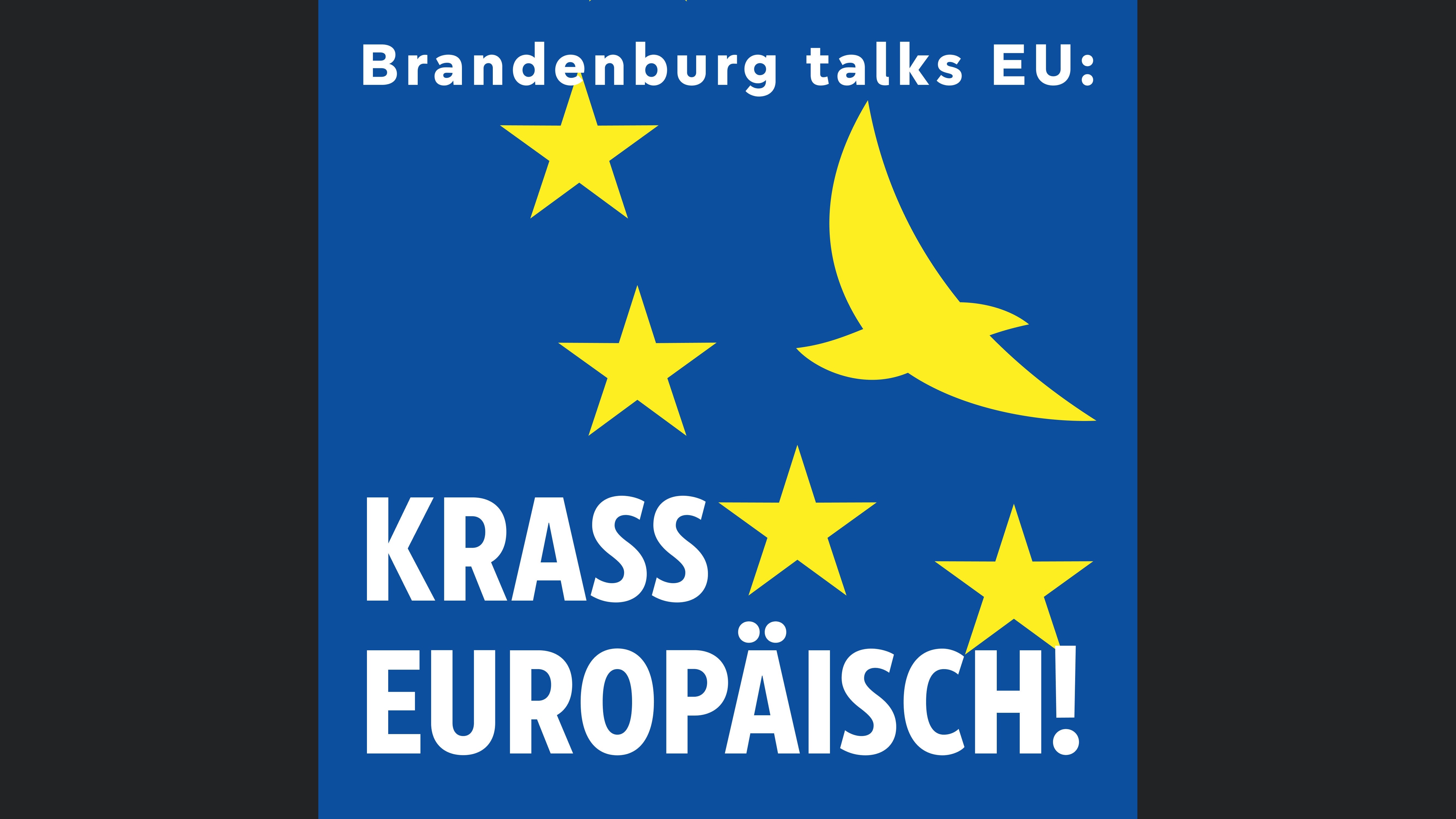 Brandenburg talks EU: Krass europäisch