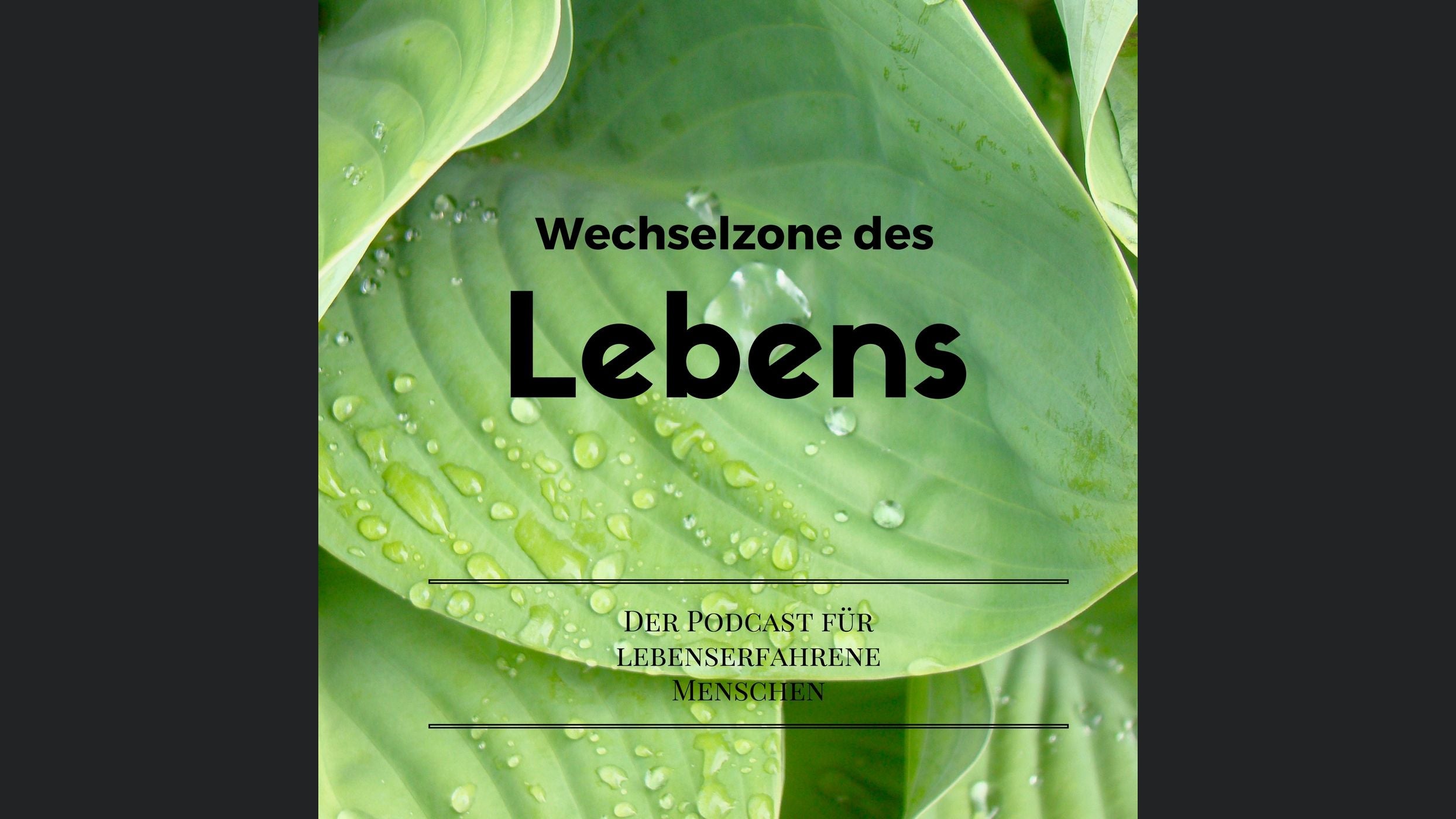 Wechselzone des Lebens