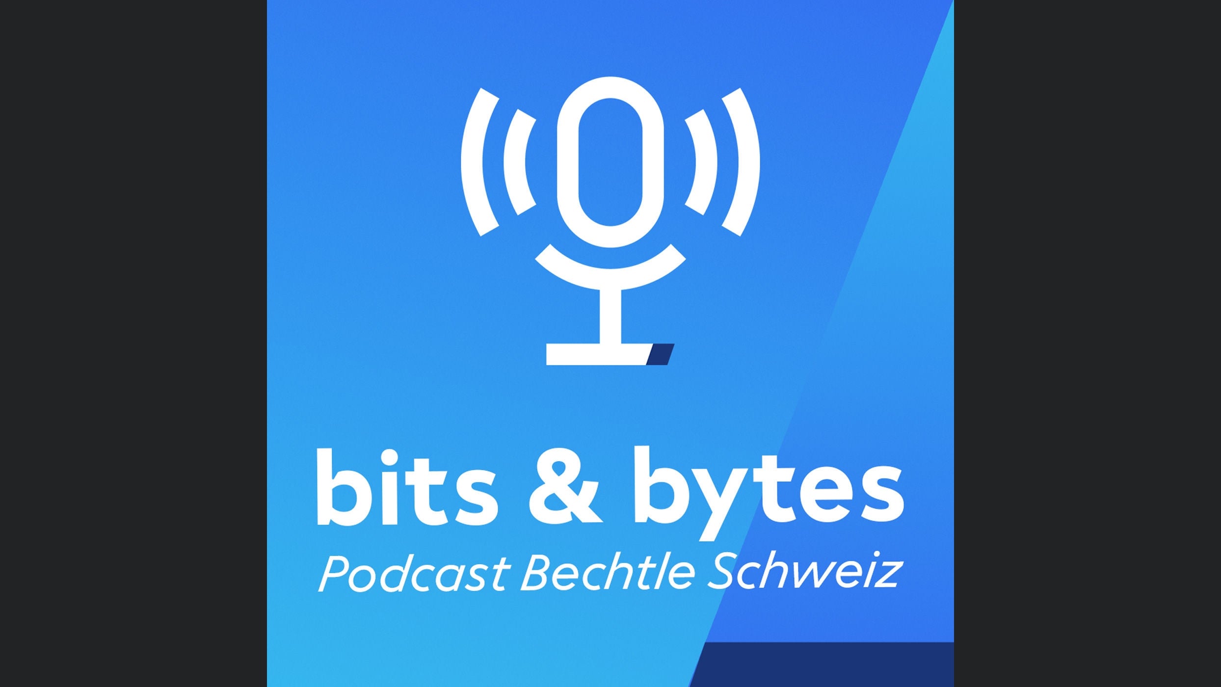 Bits & Bytes