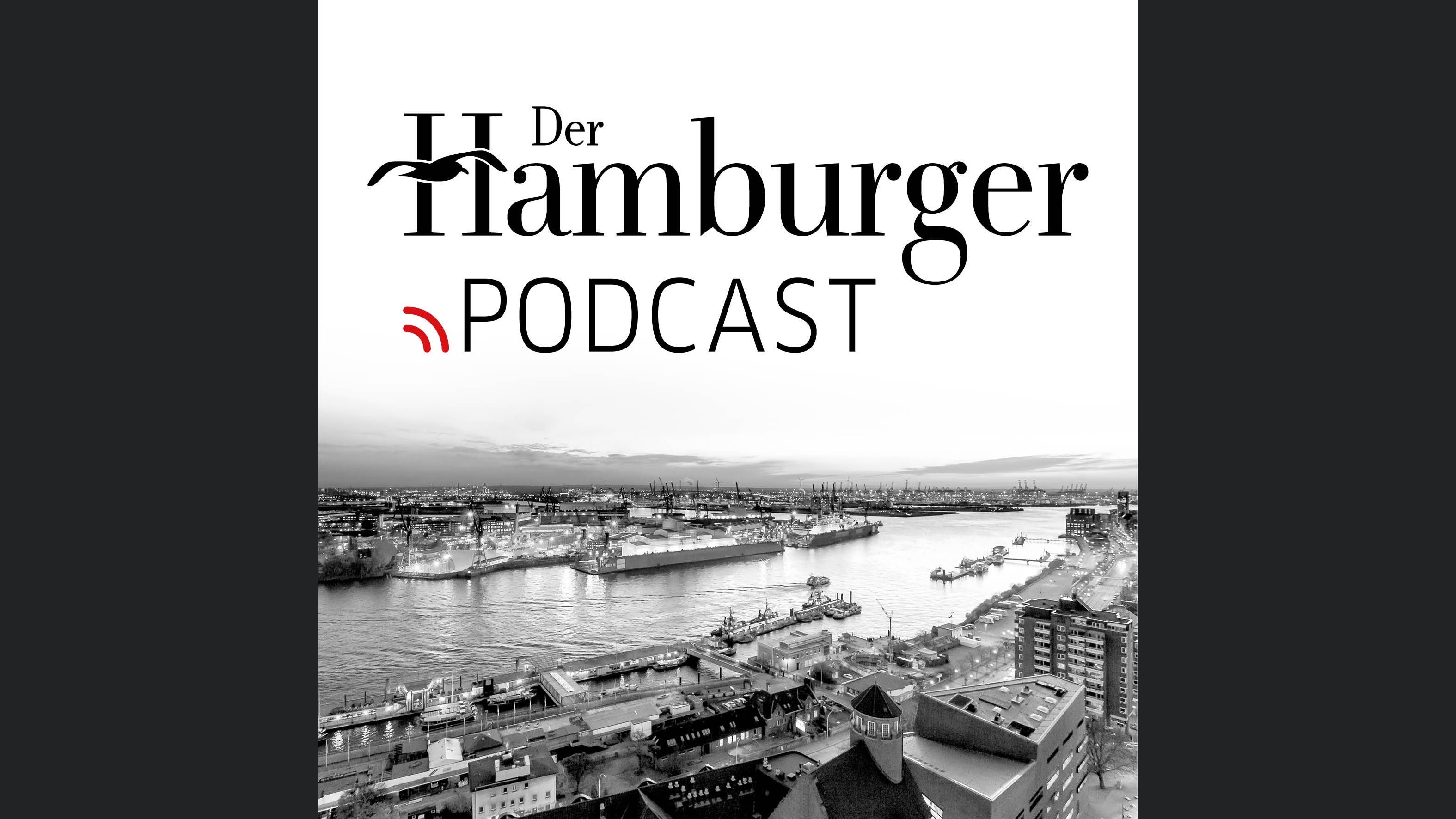DER HAMBURGER Inside. Stimmen dieser Stadt