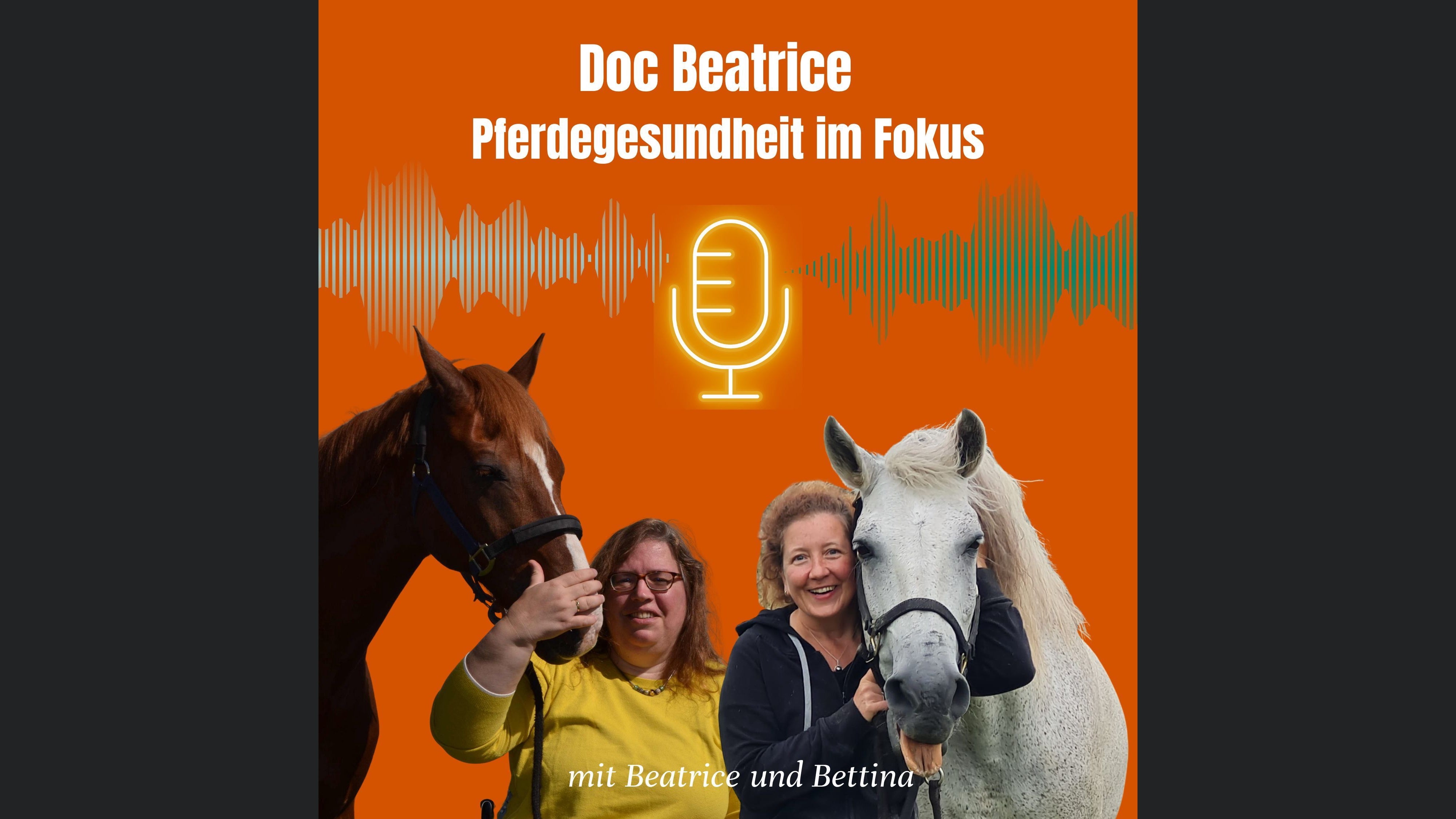 Doc Beatrice - Pferdegesundheit im Fokus