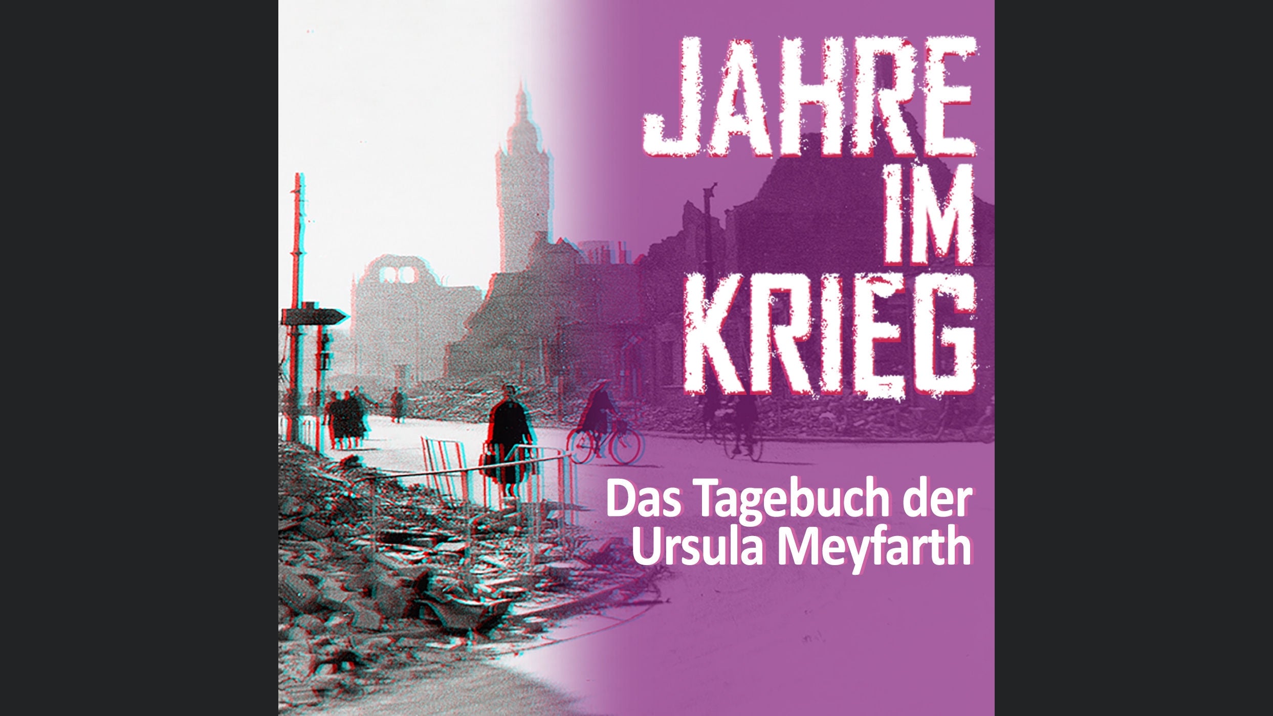 Jahre im Krieg: Das Tagebuch der Ursula Meyfarth