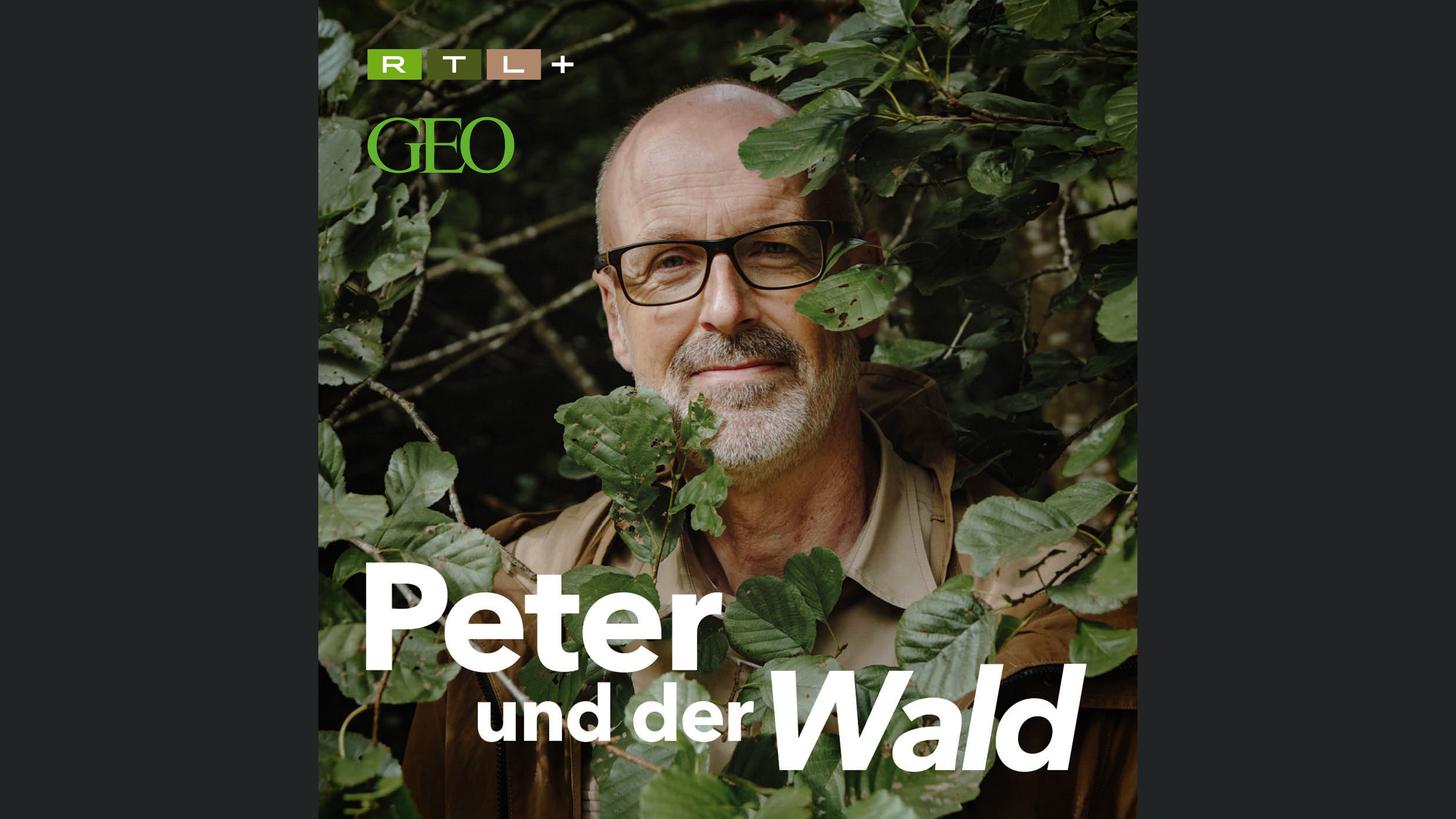 Peter und der Wald