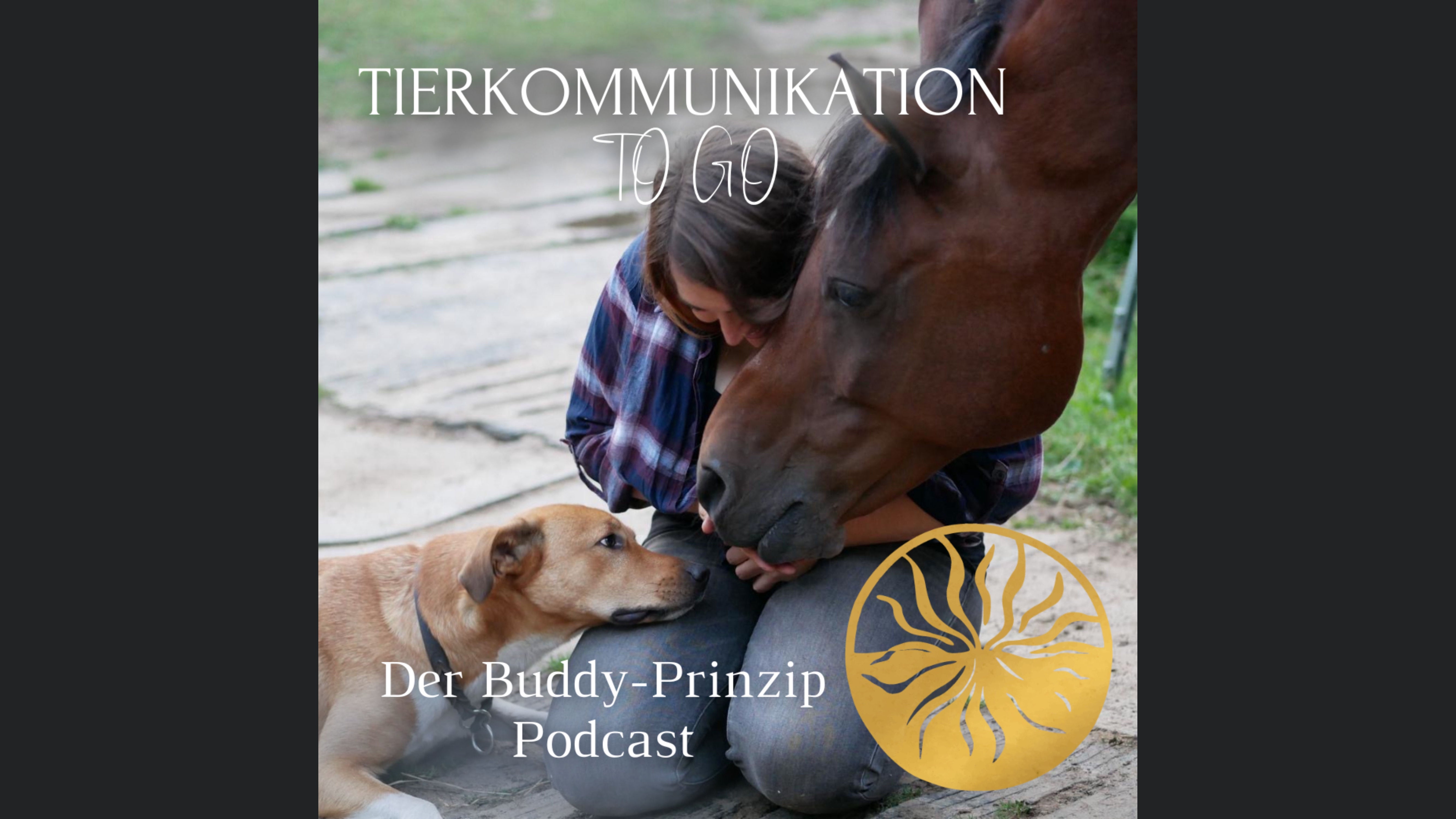 Tierkommunikation To Go: Der Buddy-Prinzip Podcast