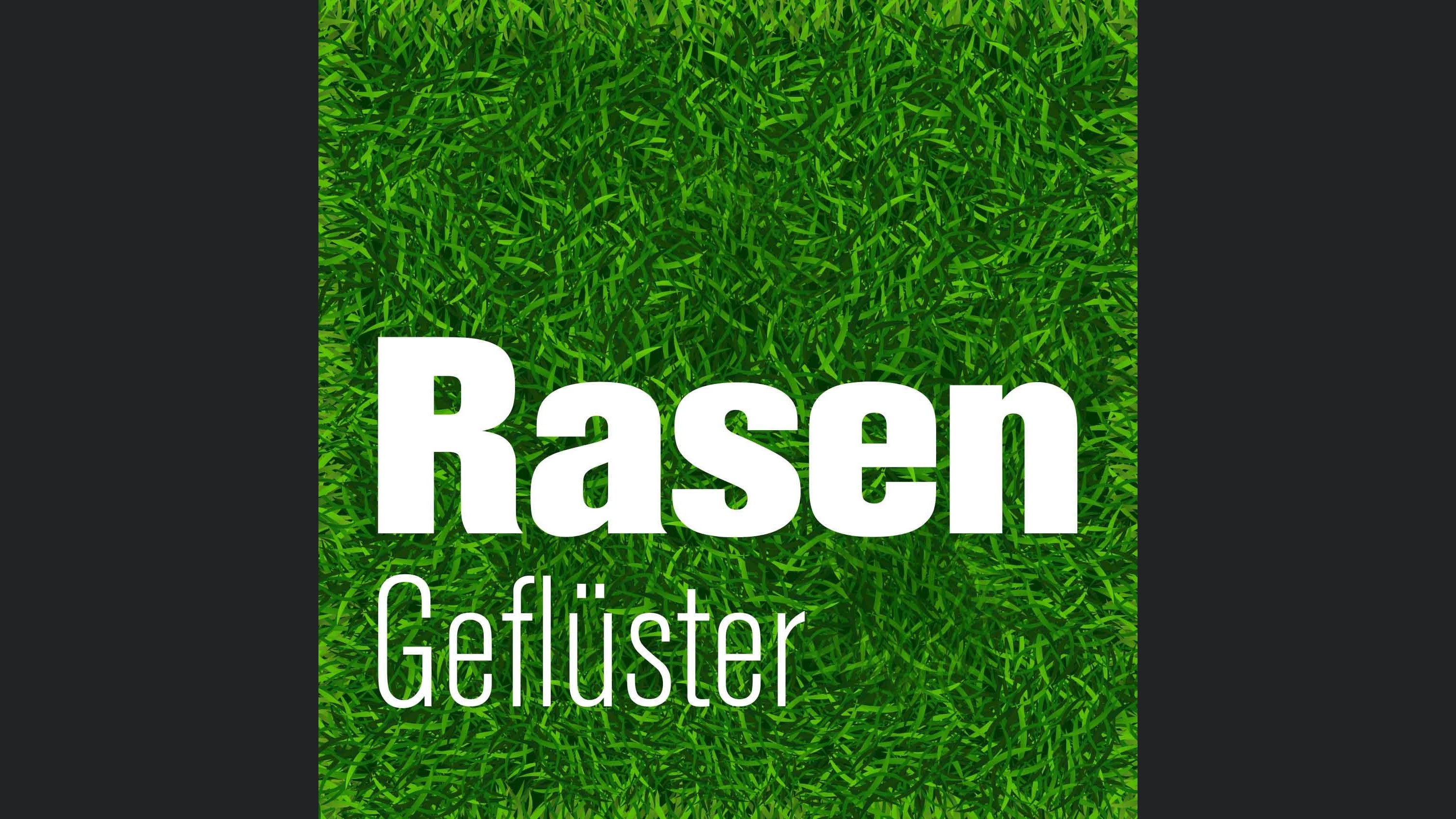 Rasengeflüster